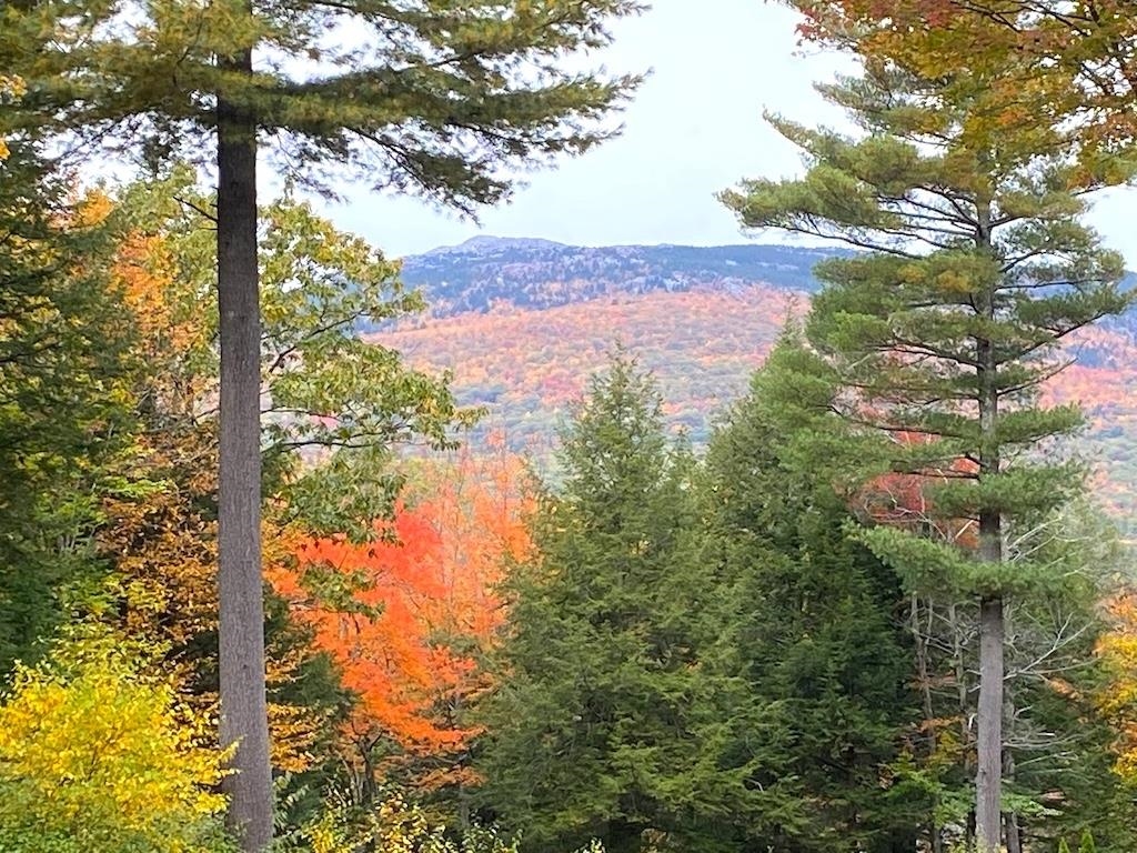177 - 179 Dublin Rd, Jaffrey, NH 03452