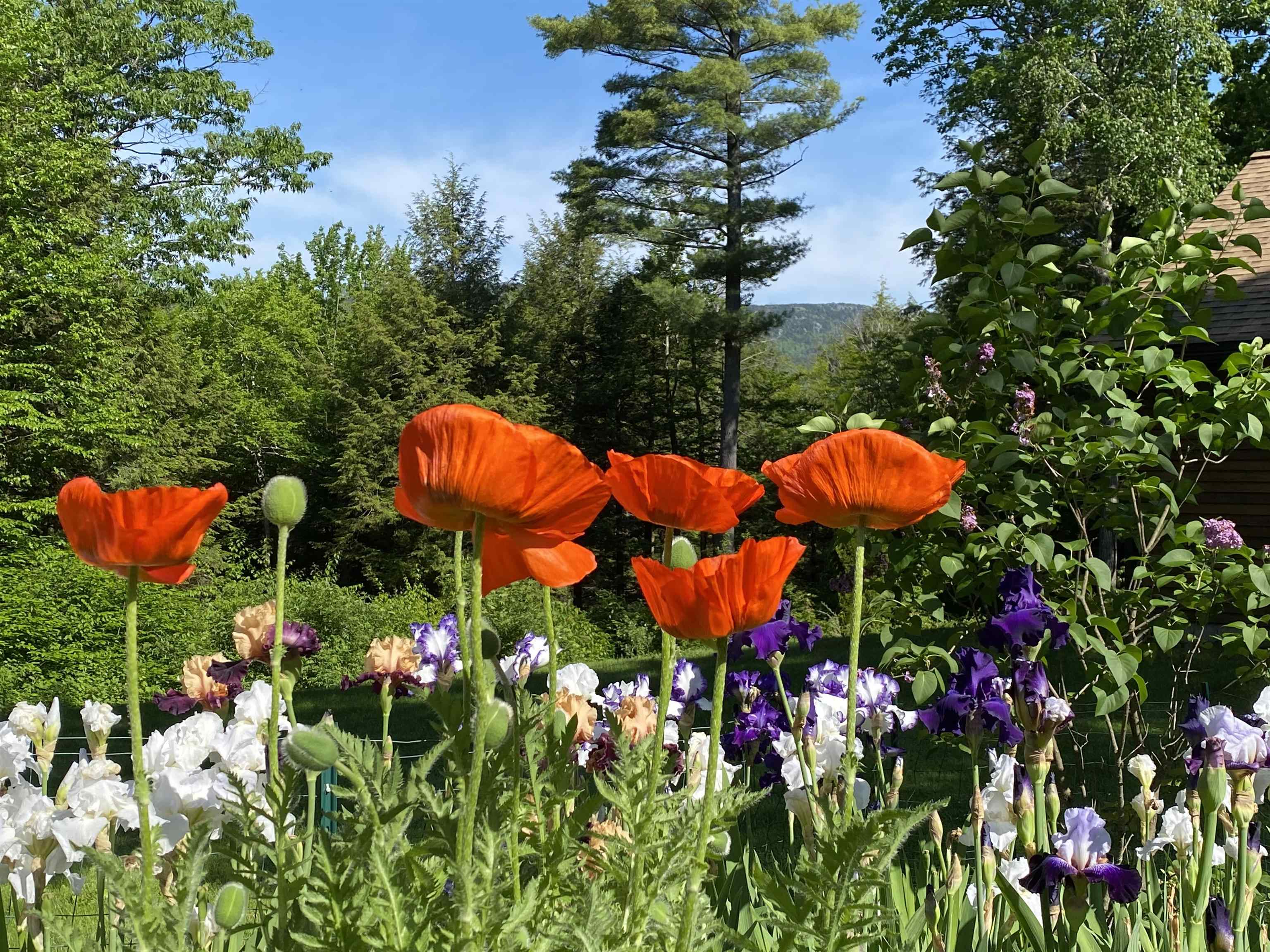 177 - 179 Dublin Rd, Jaffrey, NH 03452
