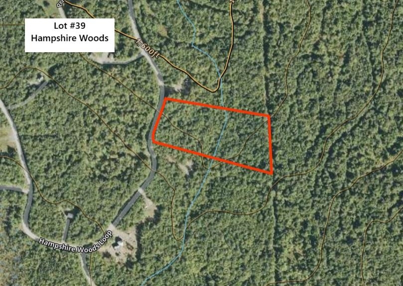 000 Hampshire Woods Loop, Errol, NH 03579