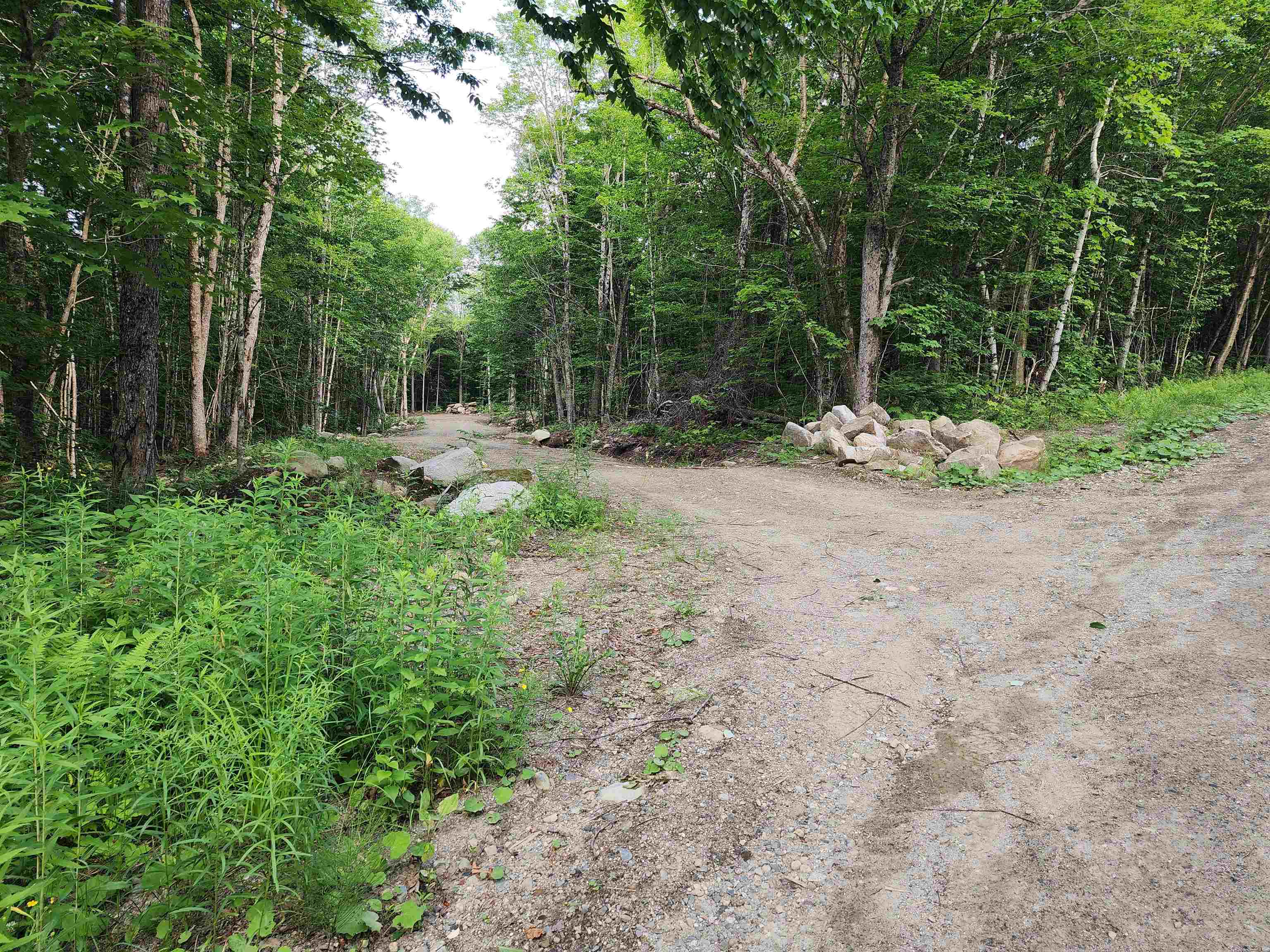 000 Hampshire Woods Loop, Errol, NH 03579