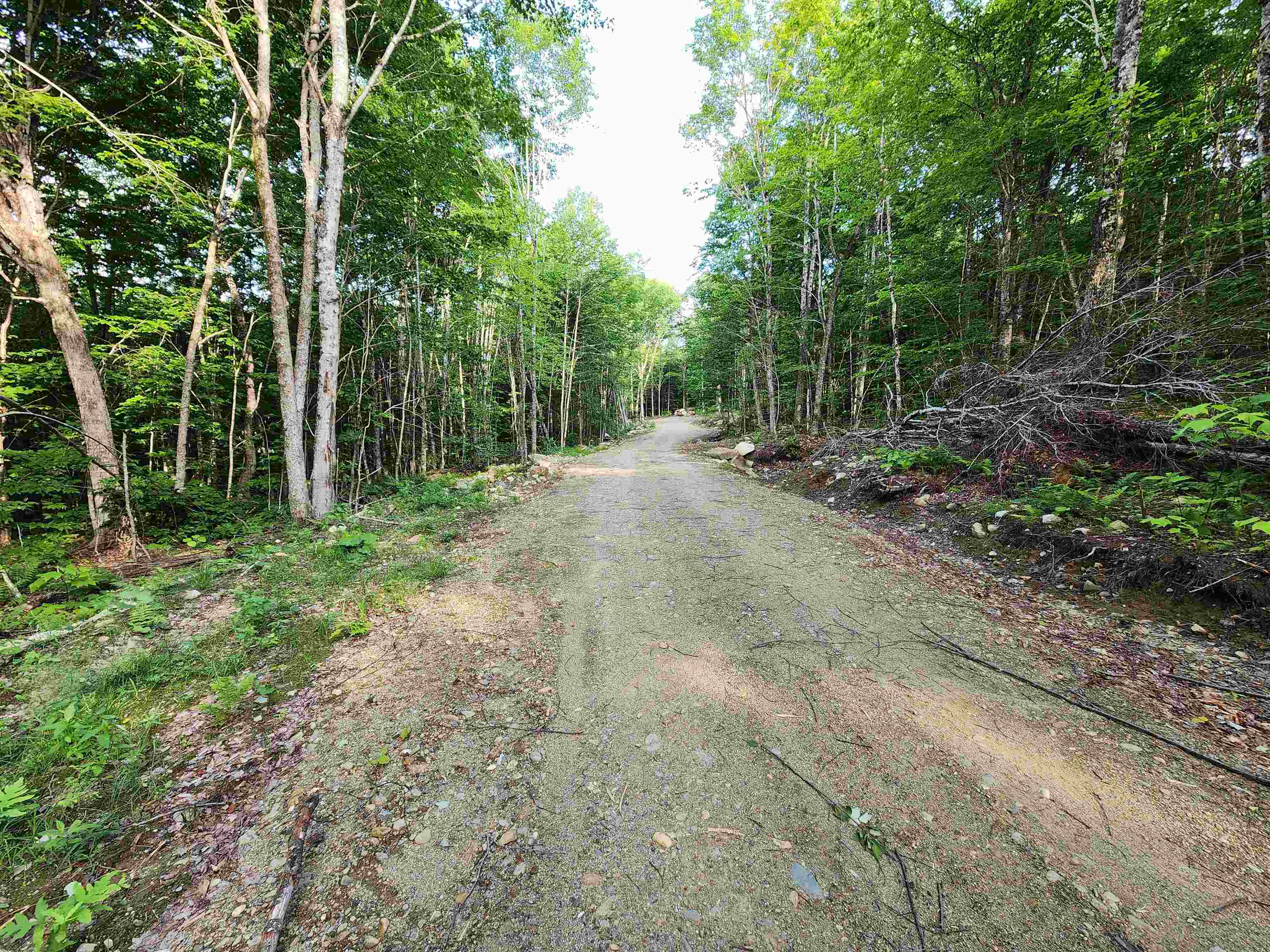000 Hampshire Woods Loop, Errol, NH 03579