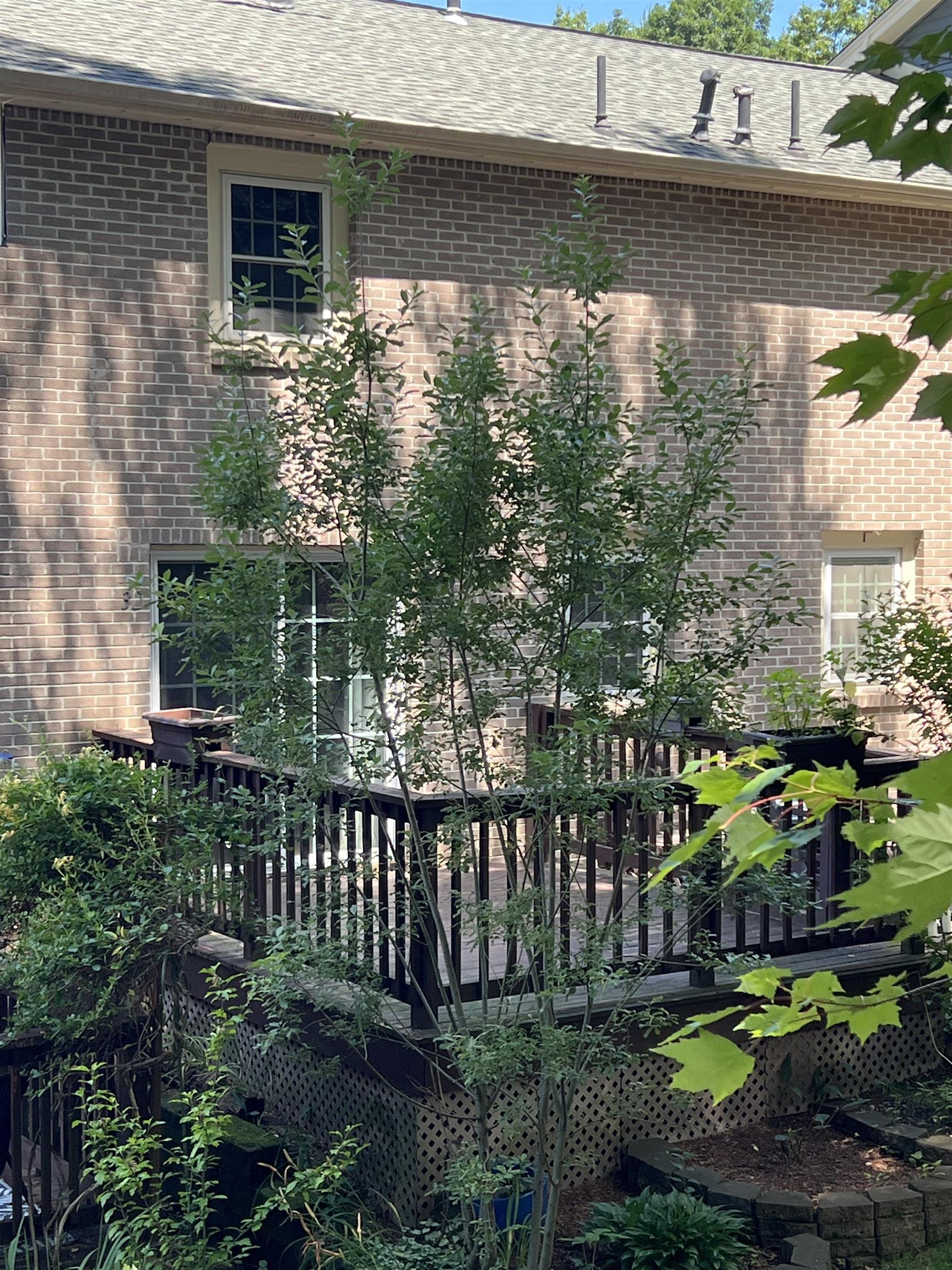 32 Cannongate Iii Rd, Nashua, NH 03063