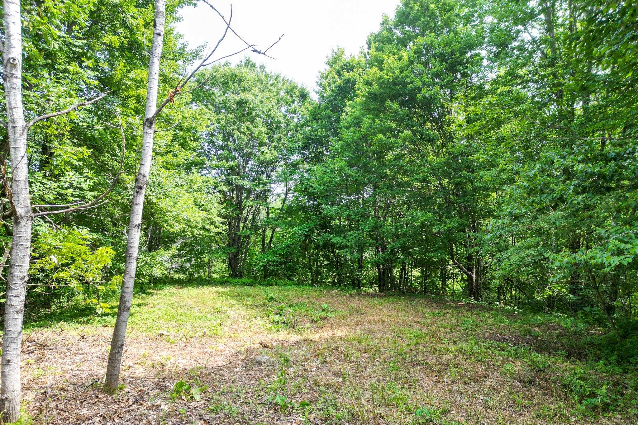 Map 401 Lot 18. Washington Hill Rd, Tamworth, NH 03817