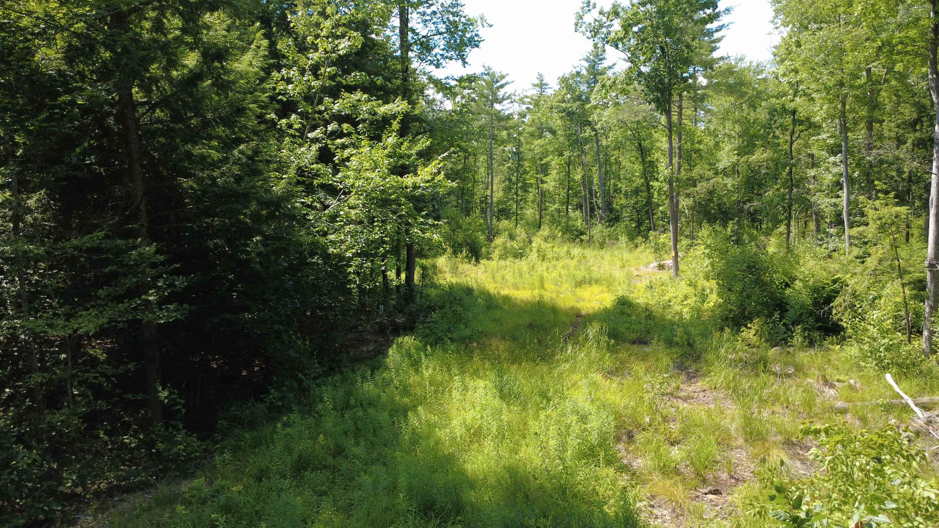 00 Foxtrot Rd, Farmington, NH 03835