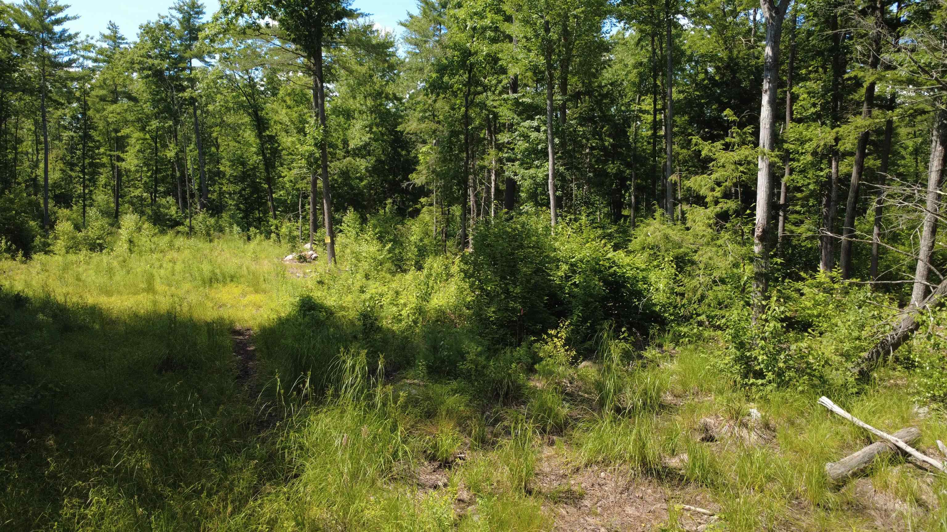 00 Foxtrot Rd, Farmington, NH 03835