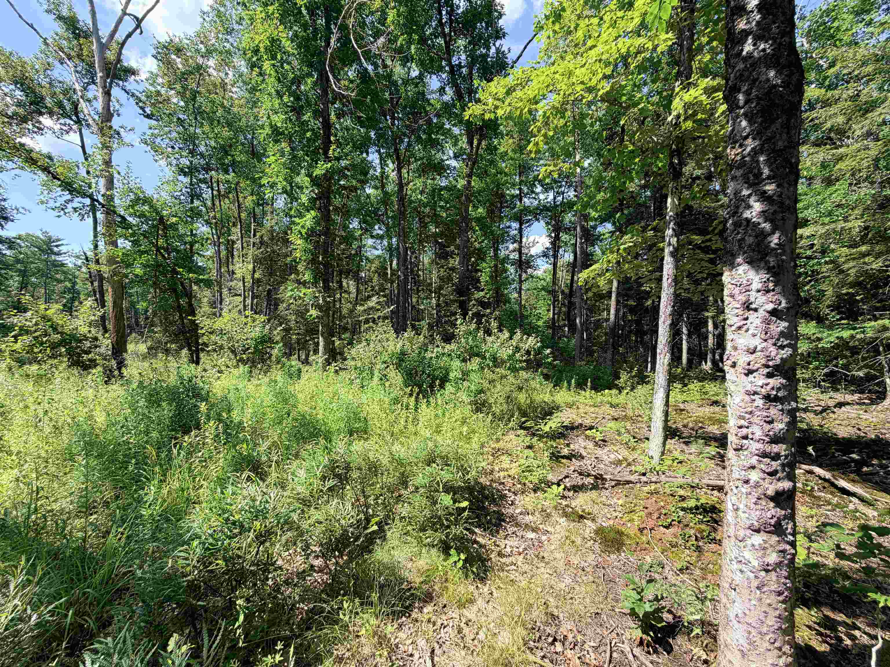 00 Foxtrot Rd, Farmington, NH 03835