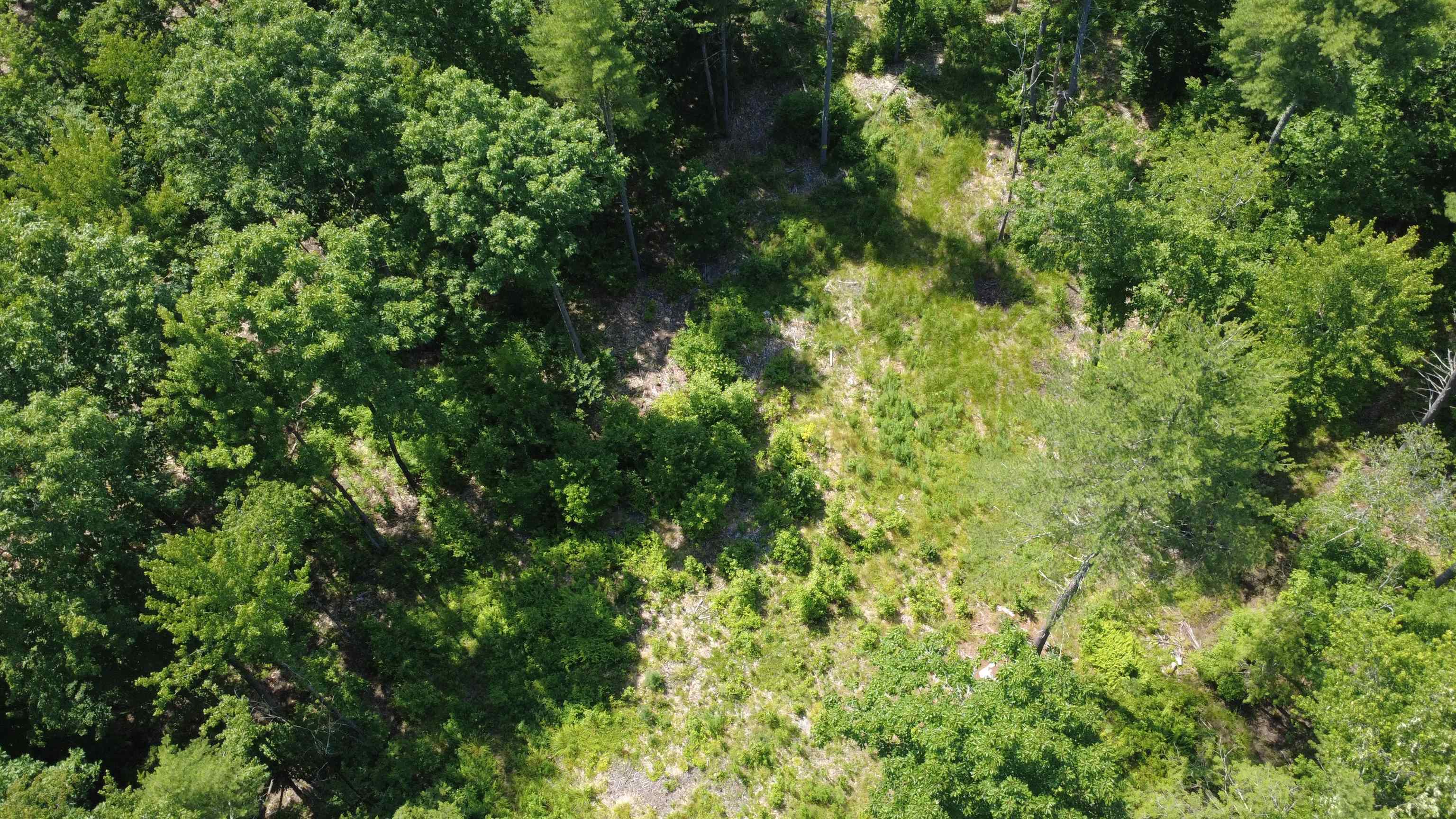 00 Foxtrot Rd, Farmington, NH 03835
