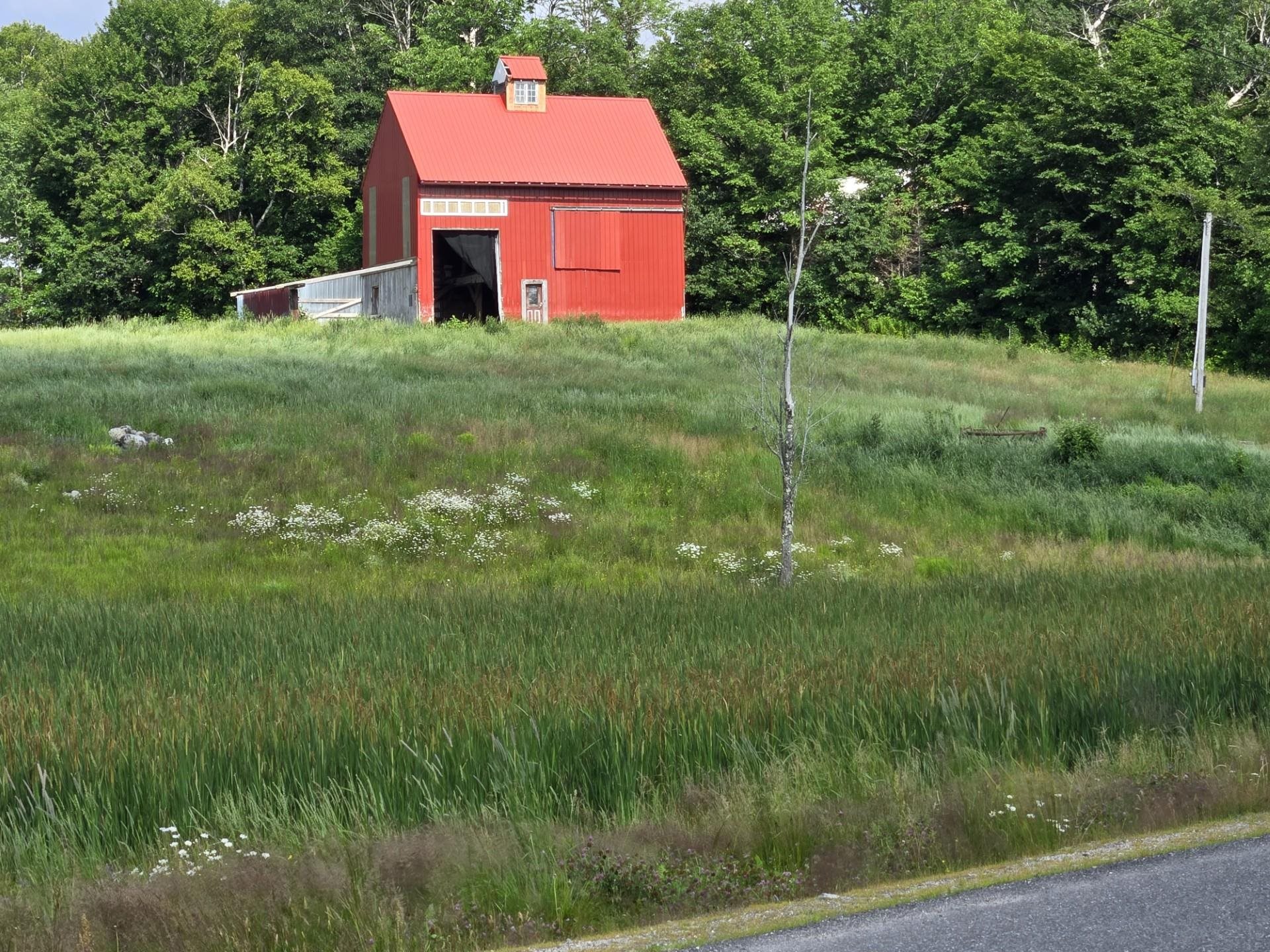 From N. Groton Rd.
