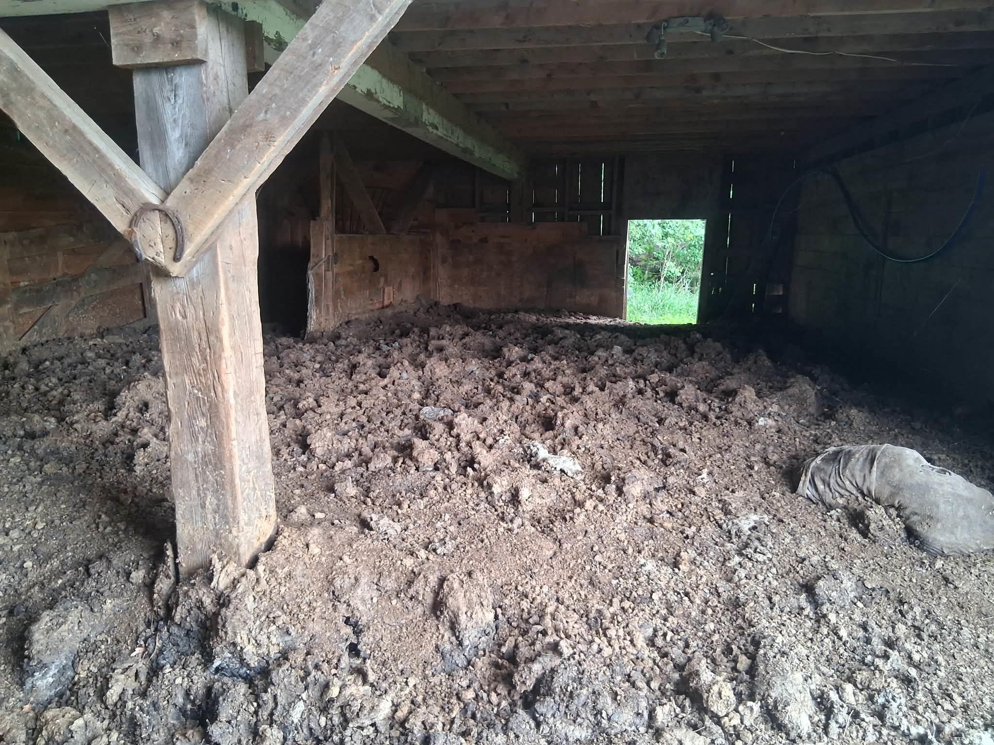 Inside bottom level of barn