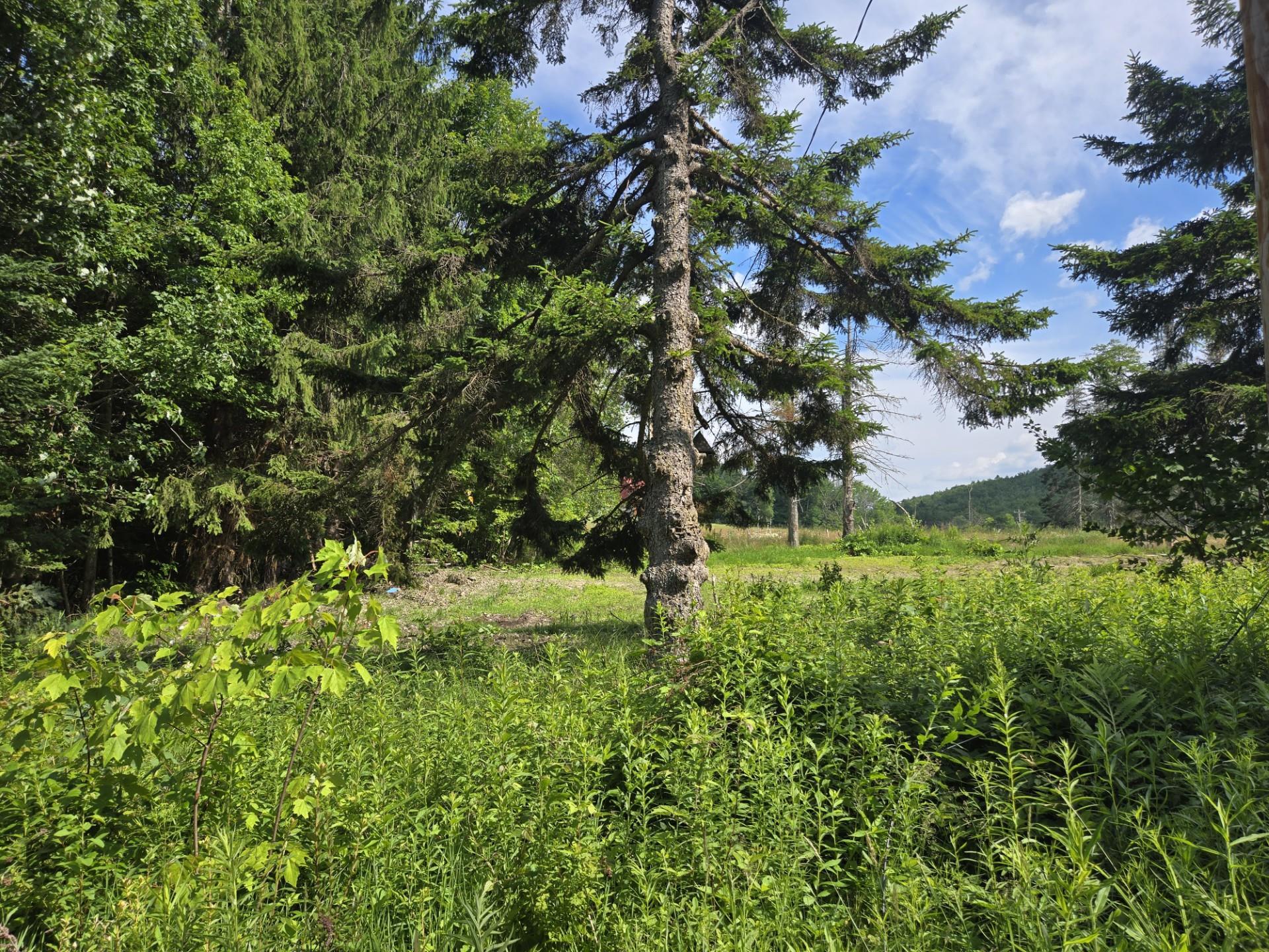 12 N Fletcher Rd, Groton, NH 03241