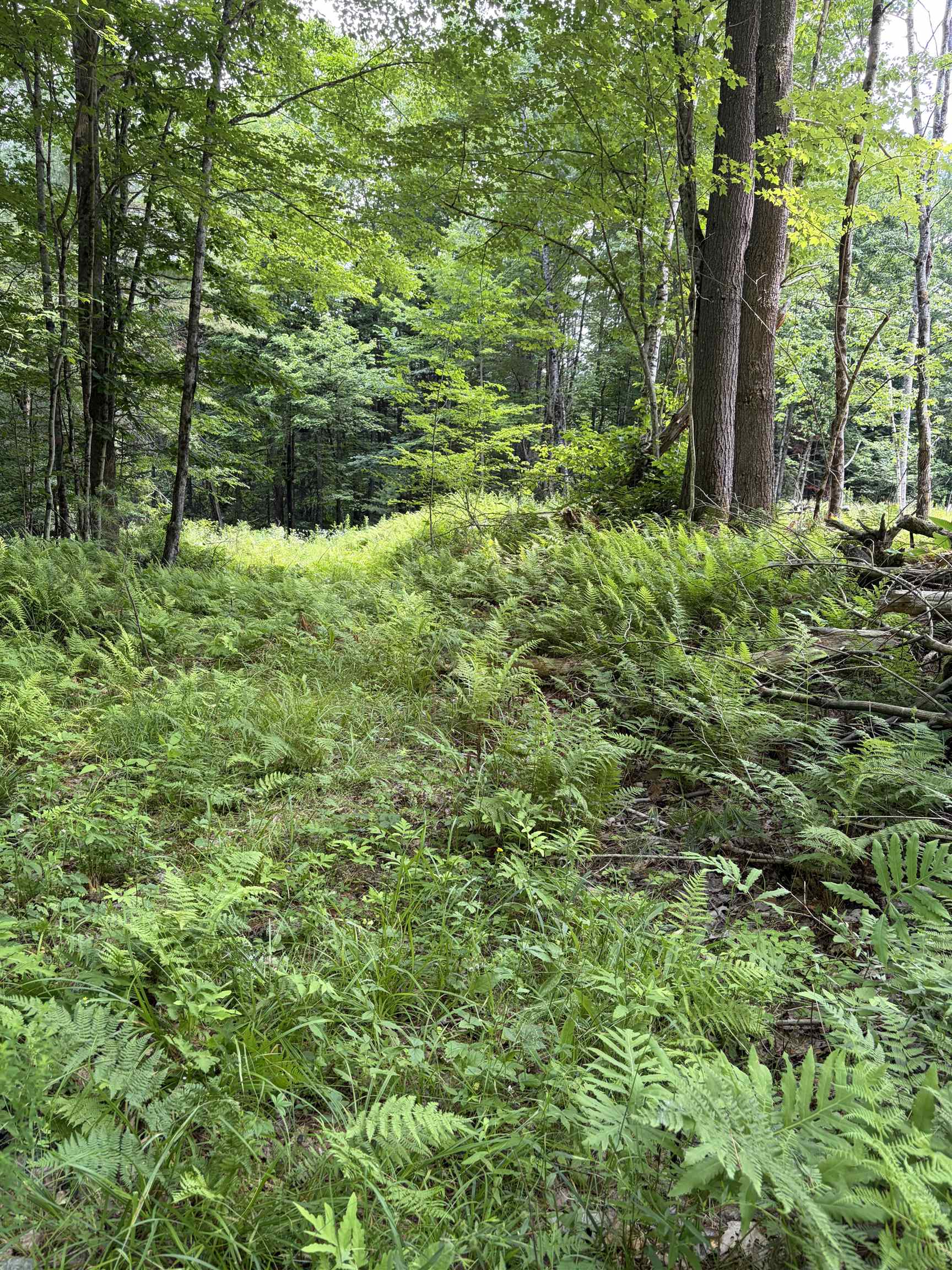 100 Ledge Rd, Lisbon, NH 03585