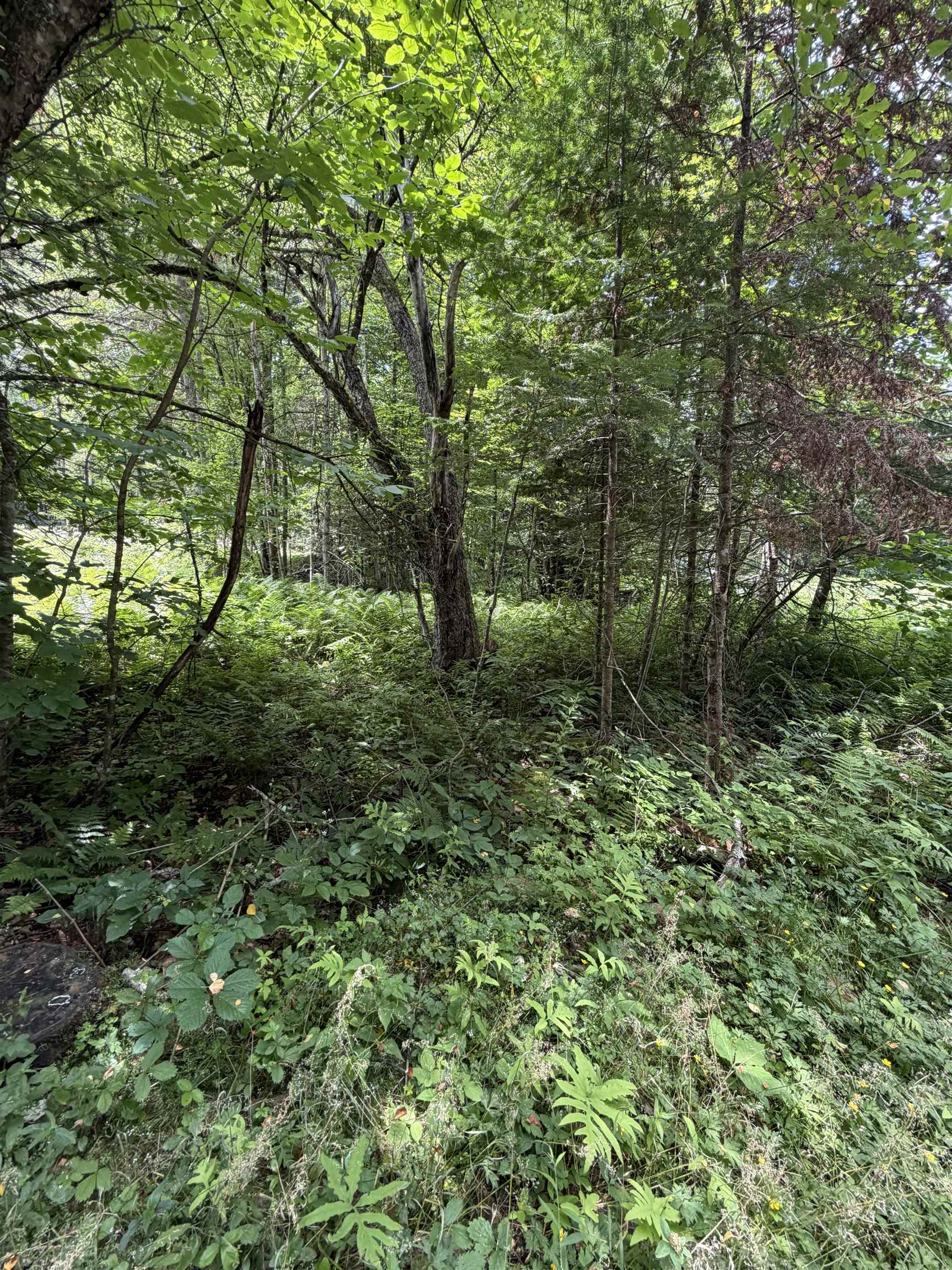 100 Ledge Rd, Lisbon, NH 03585