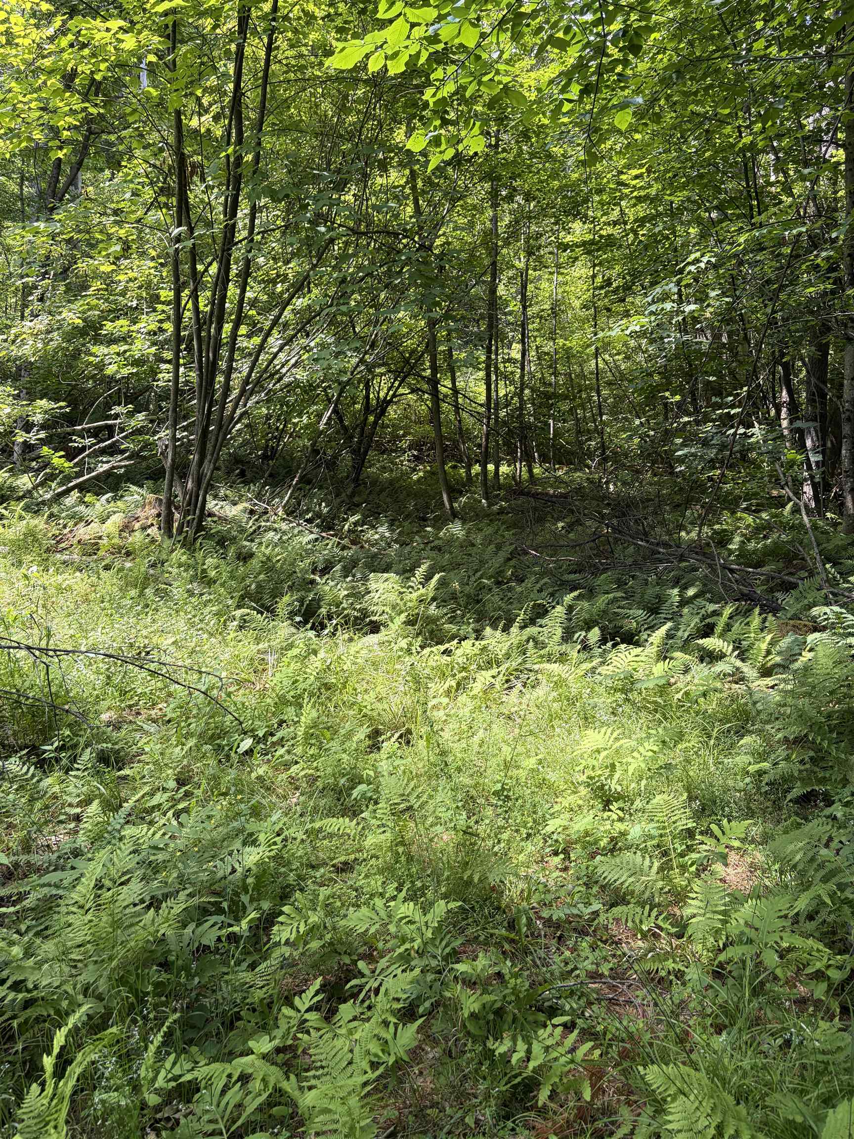 100 Ledge Rd, Lisbon, NH 03585