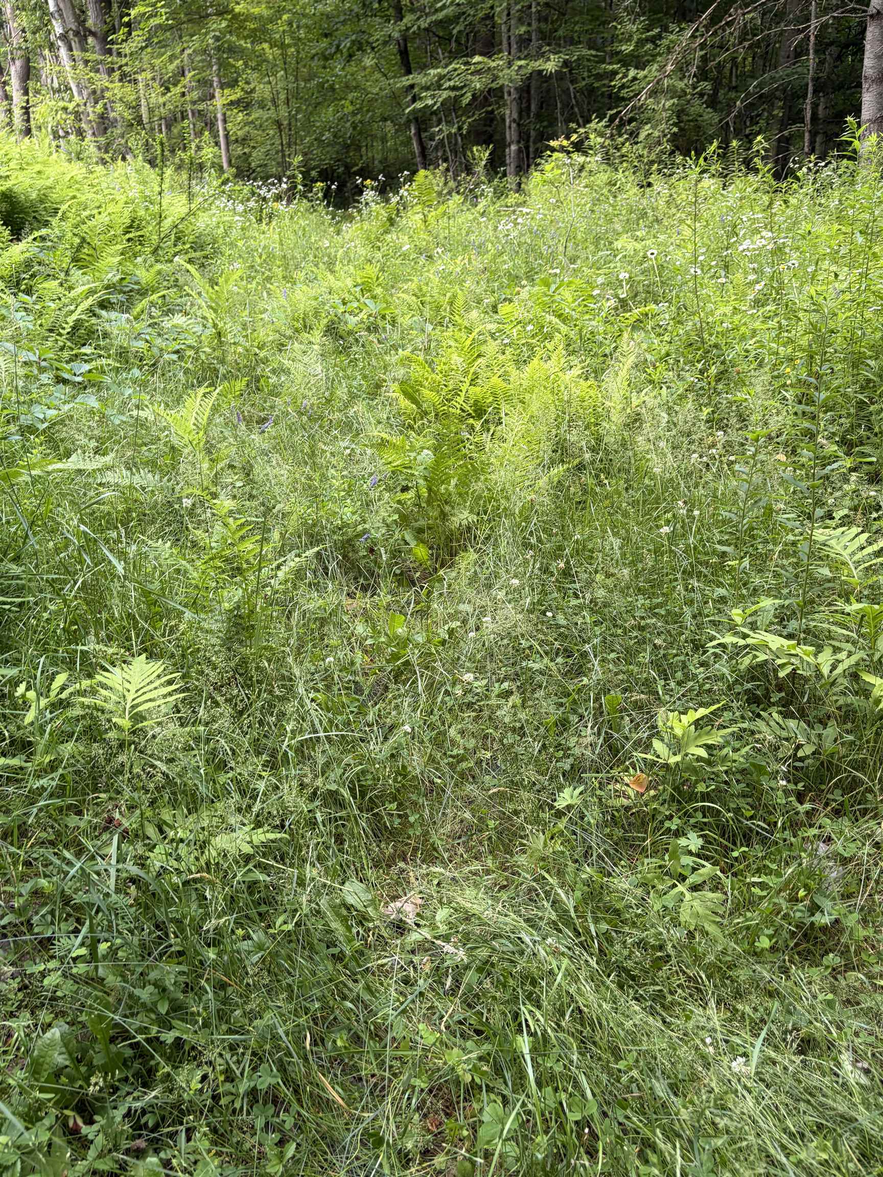 100 Ledge Rd, Lisbon, NH 03585