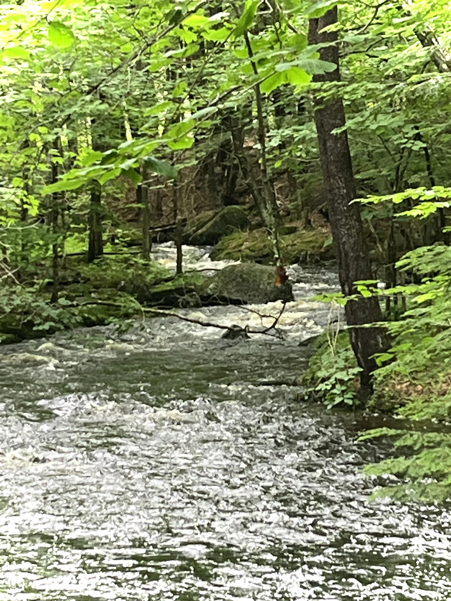 24- 403 North Rd, Franklin, NH 03235