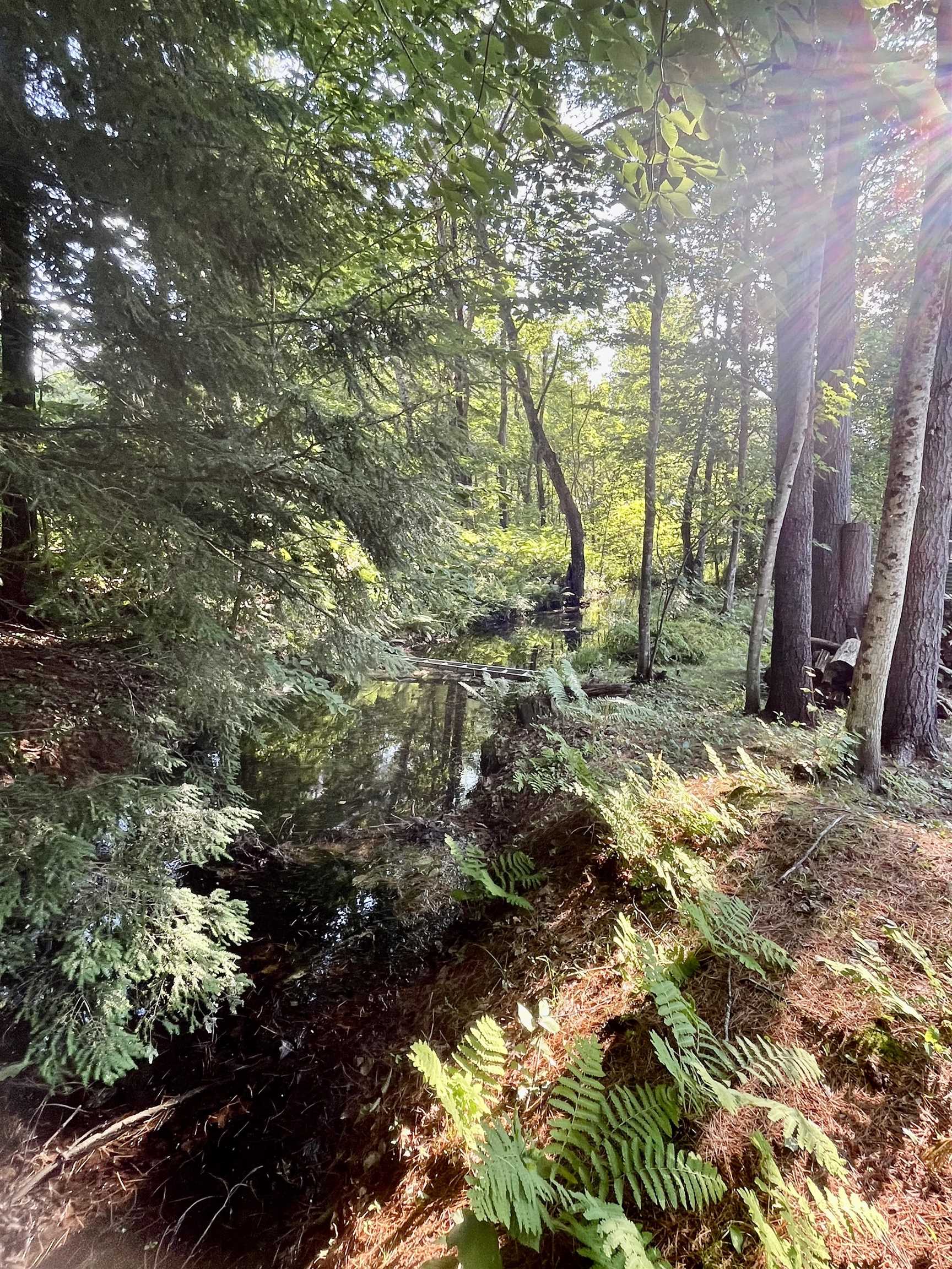Stream runs along the edge of the yard
