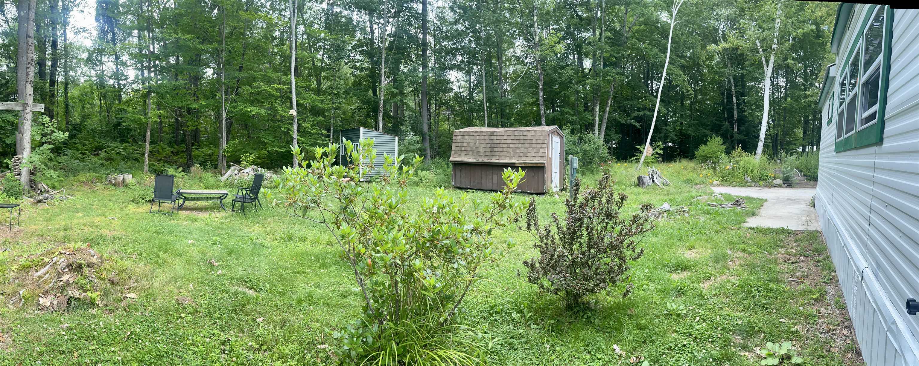 Large Back Yard with 2 Sheds