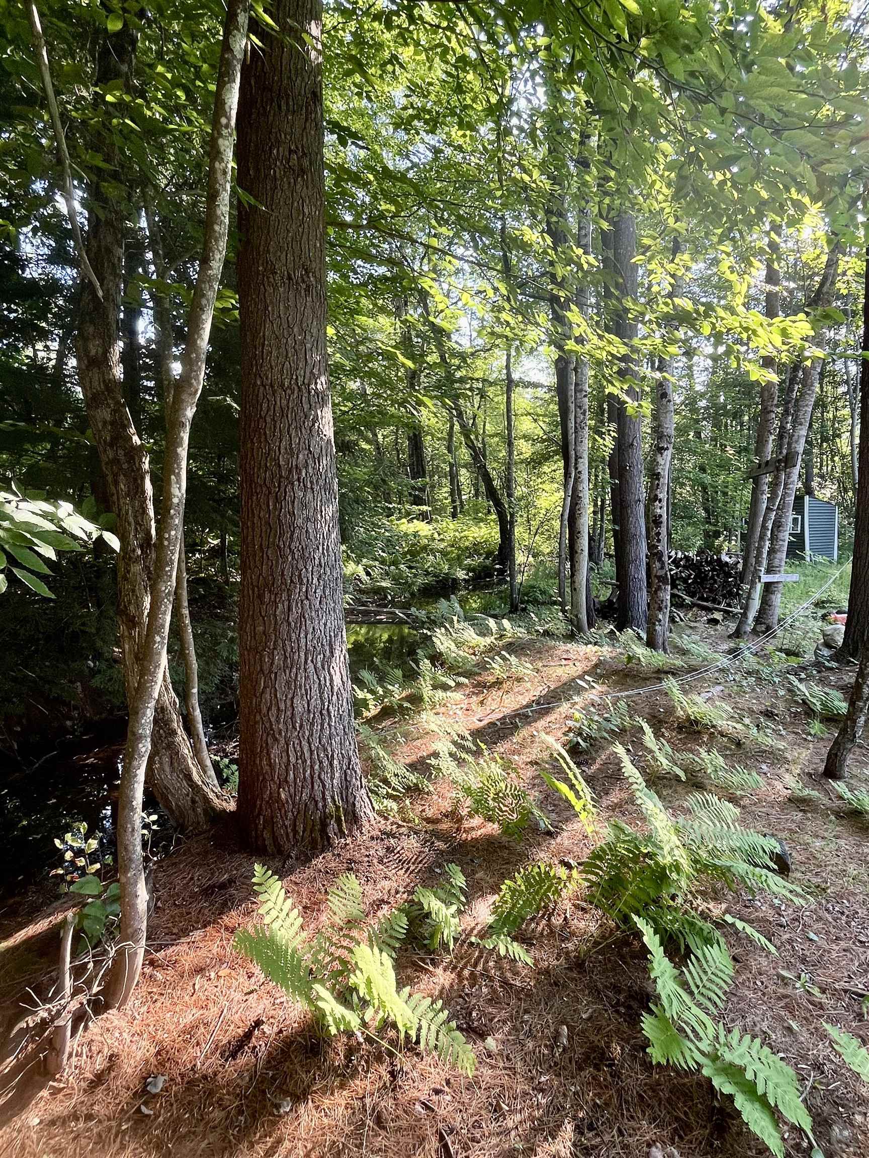 862 Mayhew Turnpike #16, Bridgewater, NH 03235
