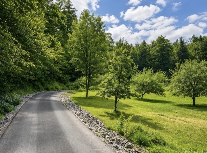 108 Hutchins Rd, Chesterfield, NH 03466