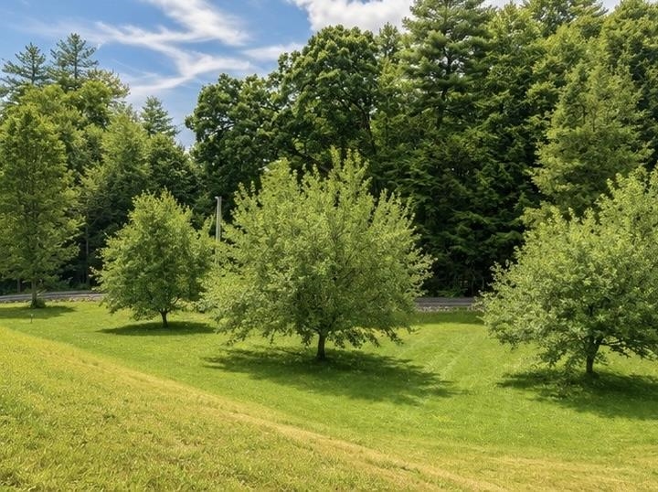 108 Hutchins Rd, Chesterfield, NH 03466