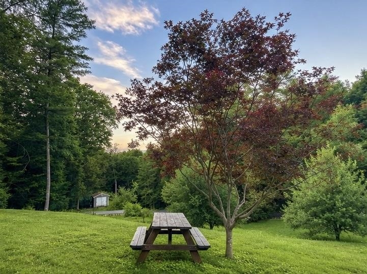 108 Hutchins Rd, Chesterfield, NH 03466