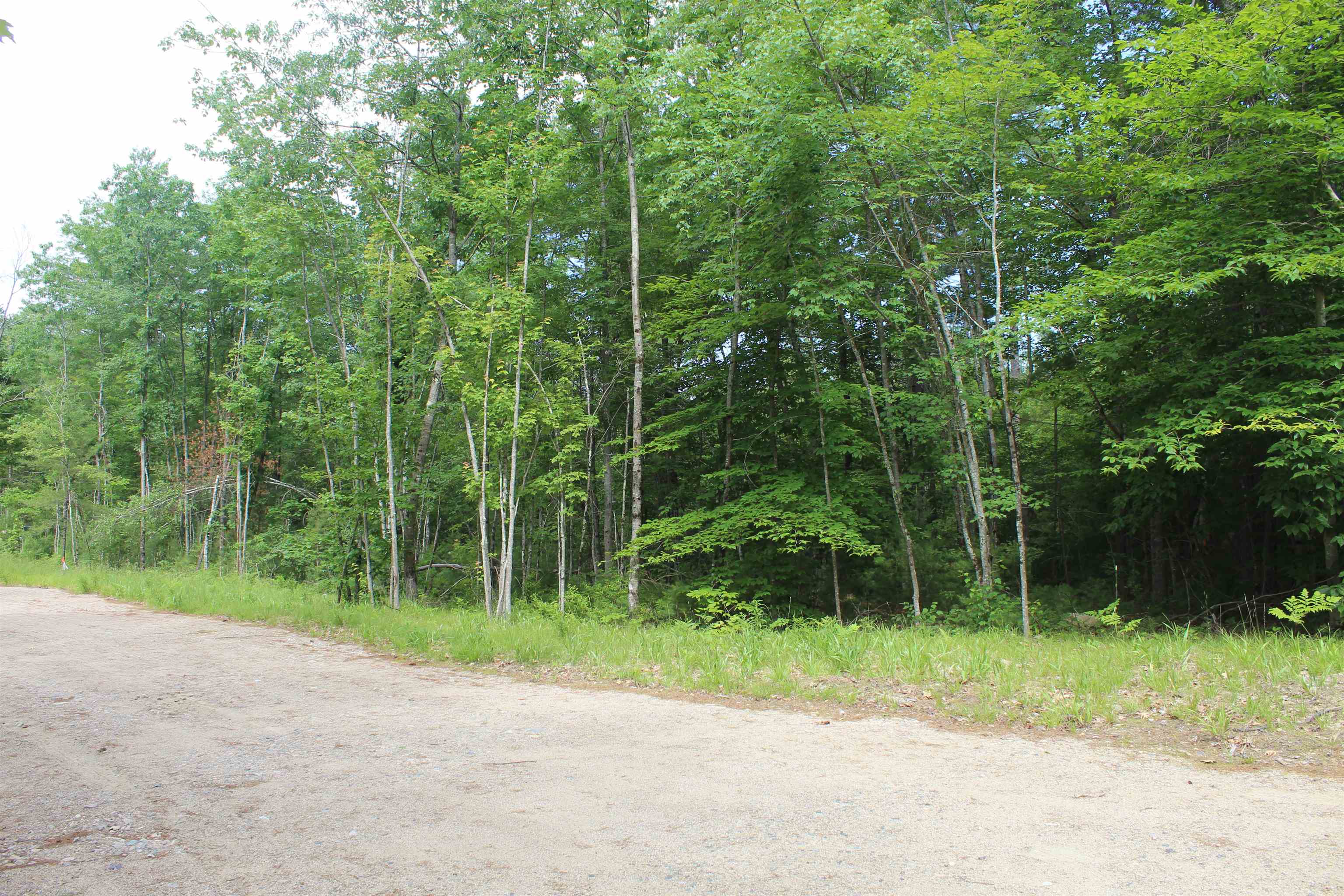 Lot 11 Squire Ln, Ossipee, NH 03814
