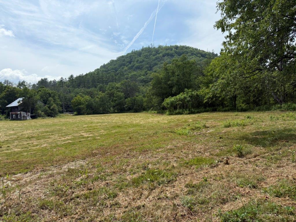 Hillside Views 25711987