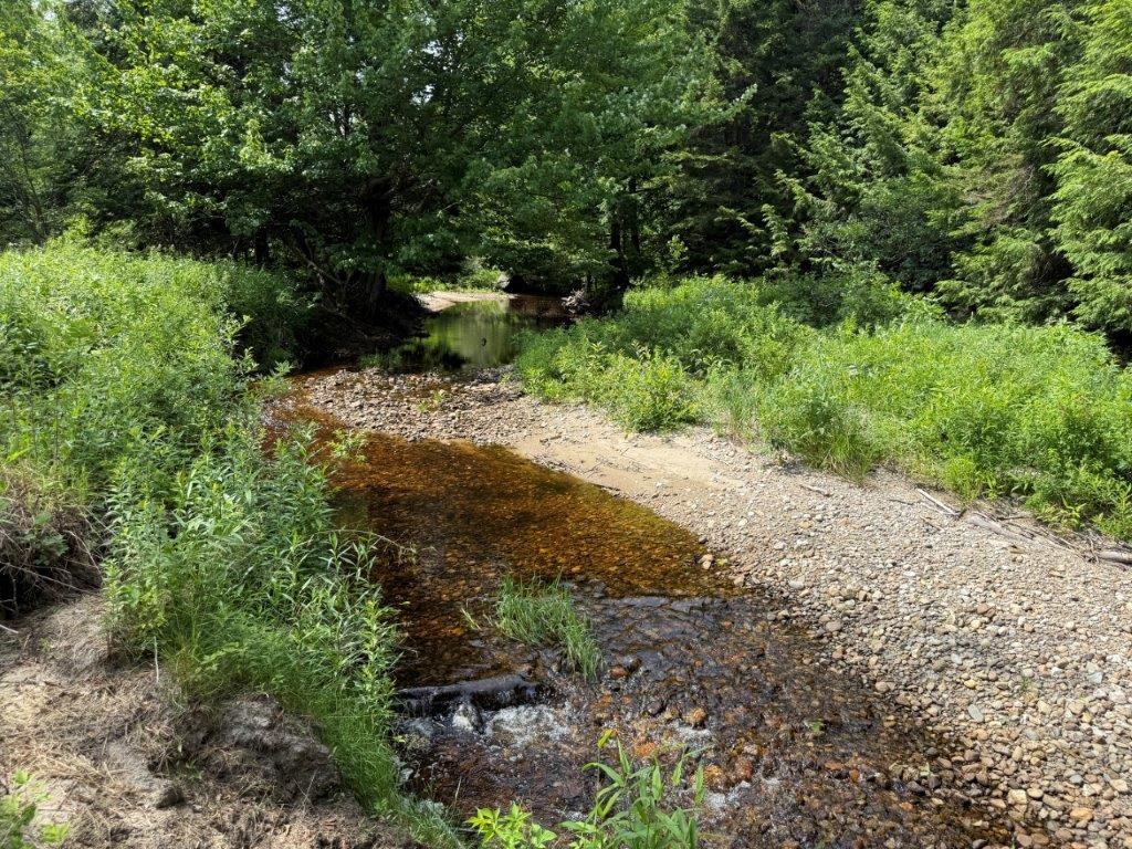 Walker Brook 25711988