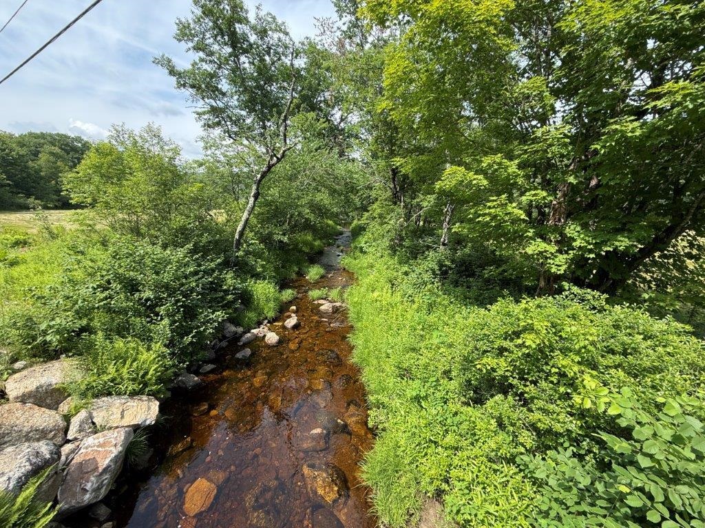 Long Brook Frontage 25711992