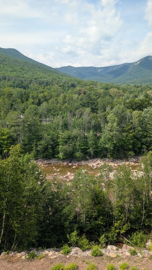 90 Loon Mountain Rd #1157A, Lincoln, NH 03251
