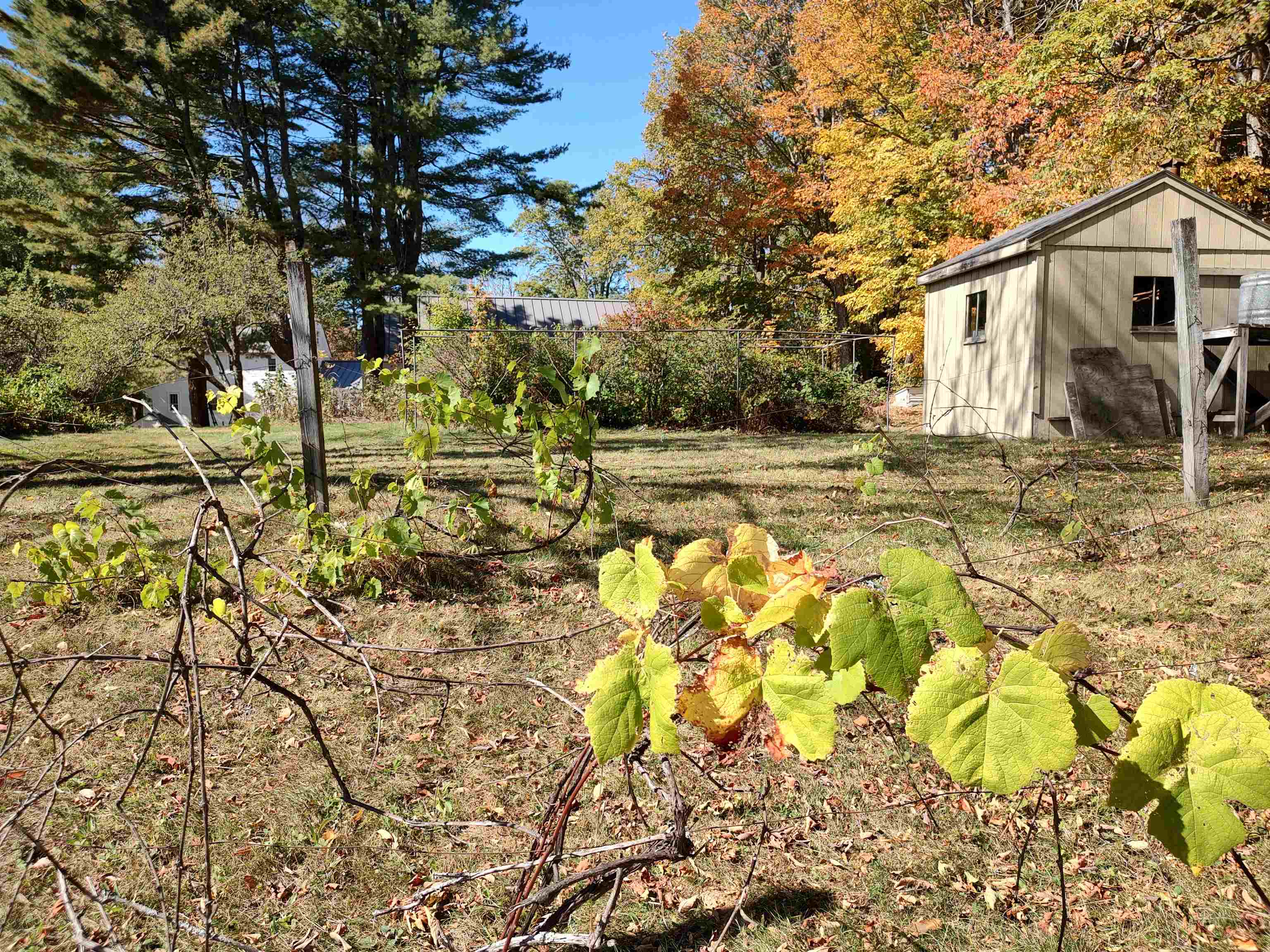 21 Trask Mountain Rd, Wolfeboro, NH 03894