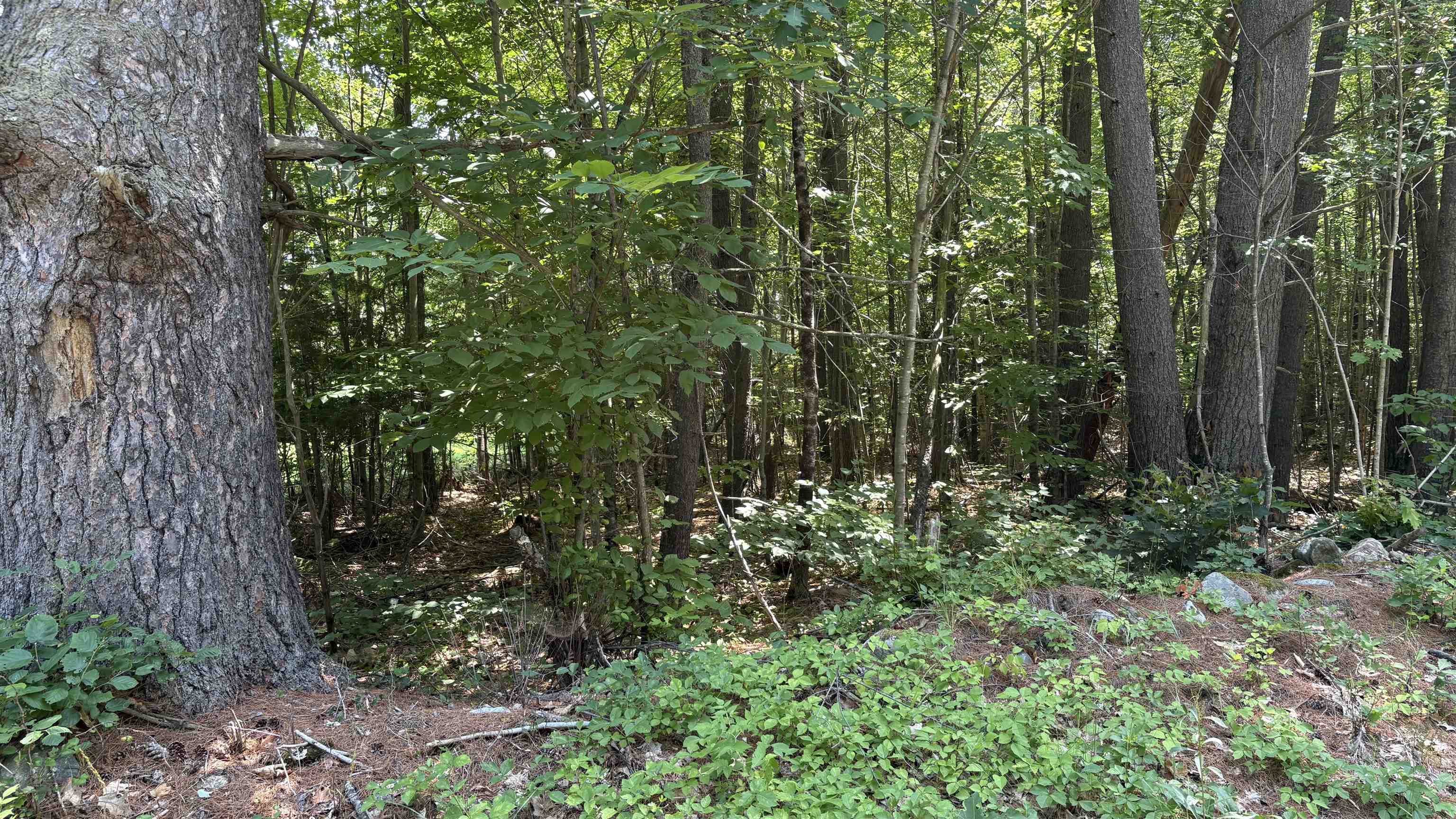 Stage Map 10 Lot 664 Rd, Unity, NH 03603