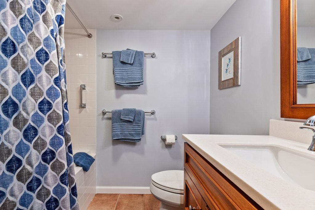 lower level bathroom