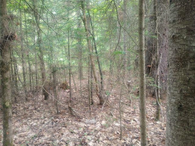 Swiftwater Cir, Haverhill, NH 03785