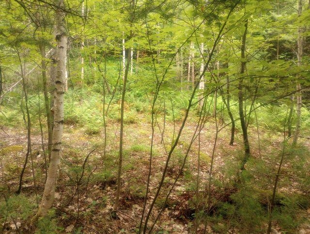 Swiftwater Cir, Haverhill, NH 03785