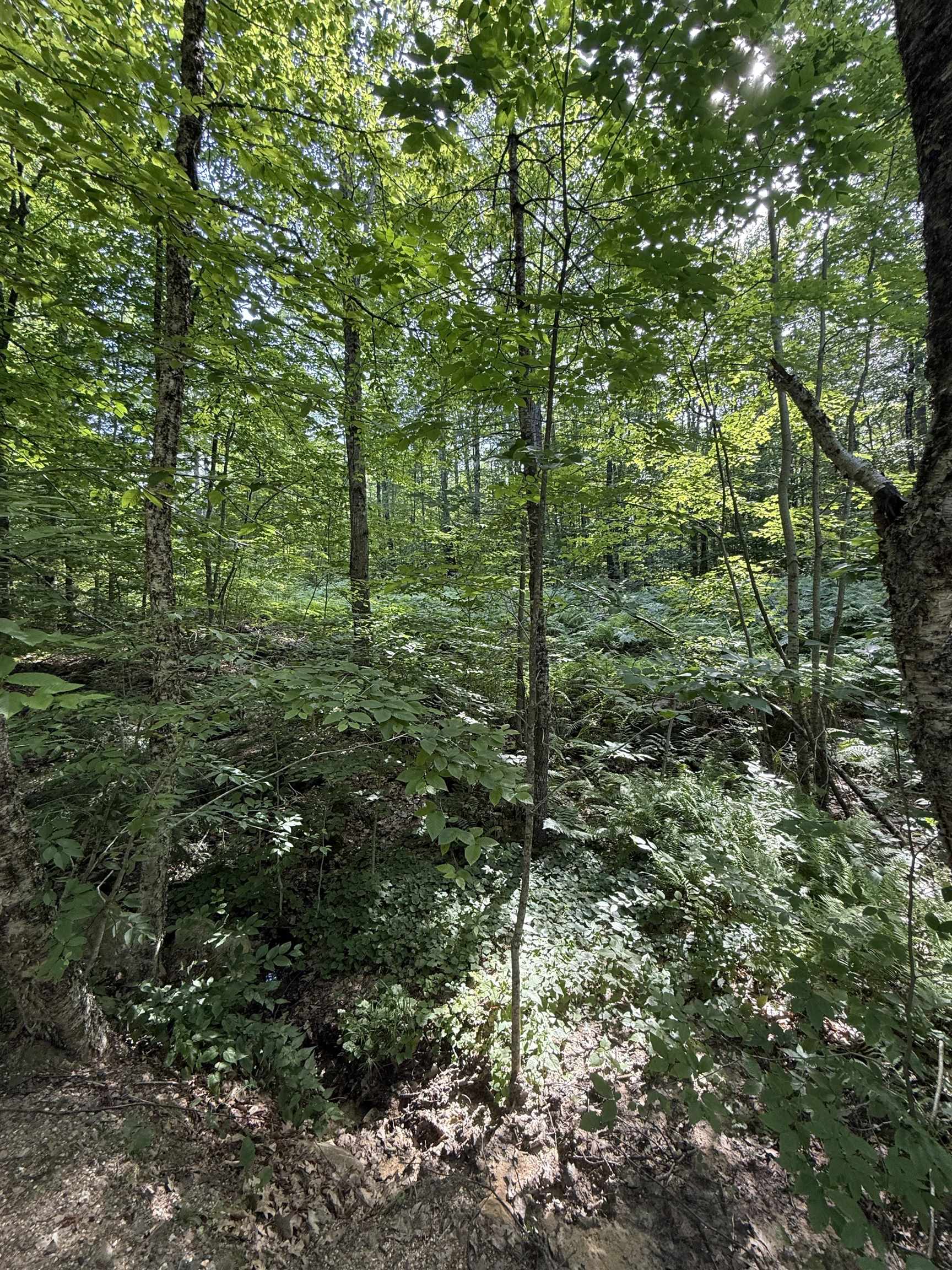 22 Wadleigh Rd, Sanbornton, NH 03269