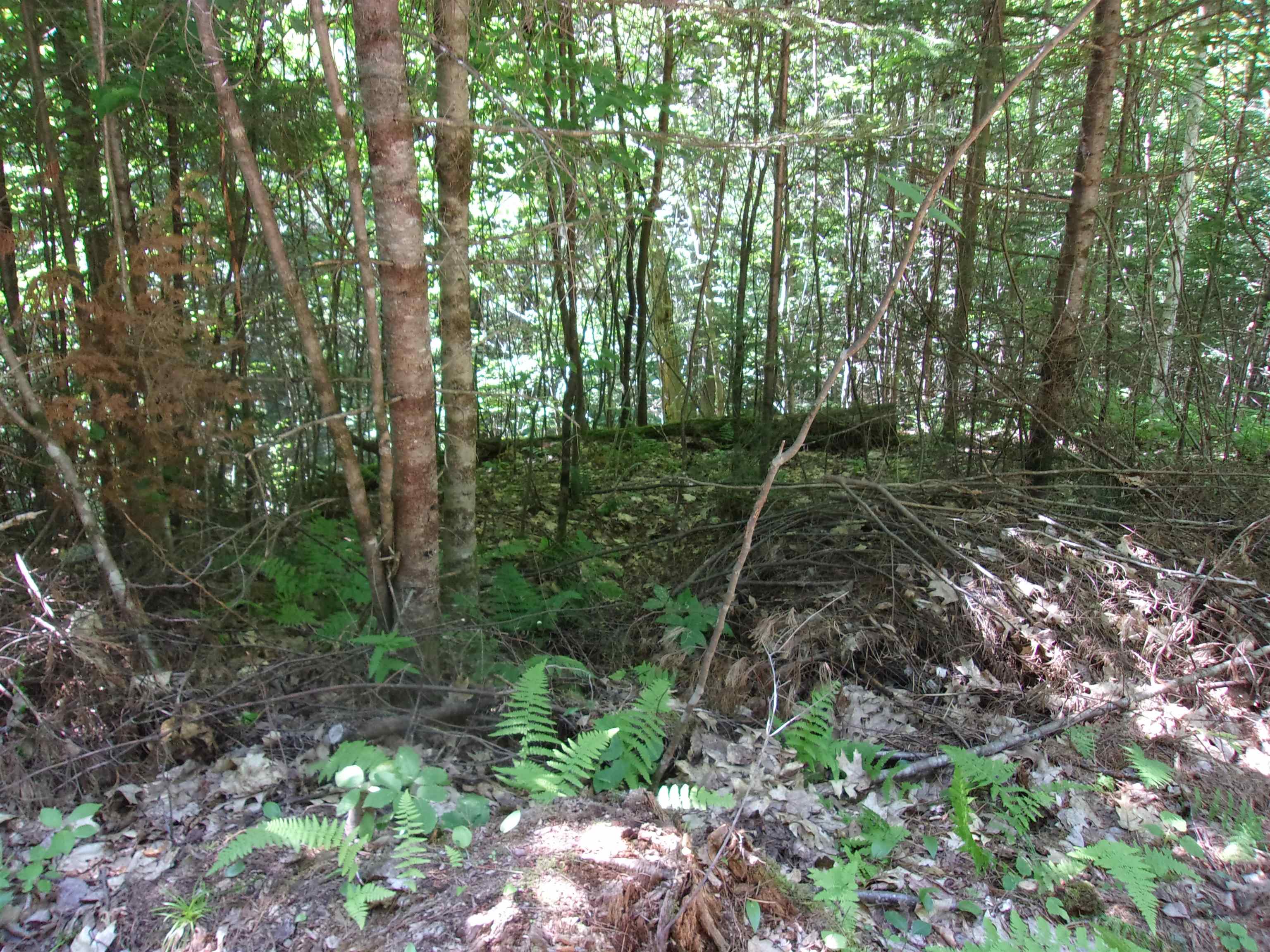 Swiftwater Cir, Haverhill, NH 03785