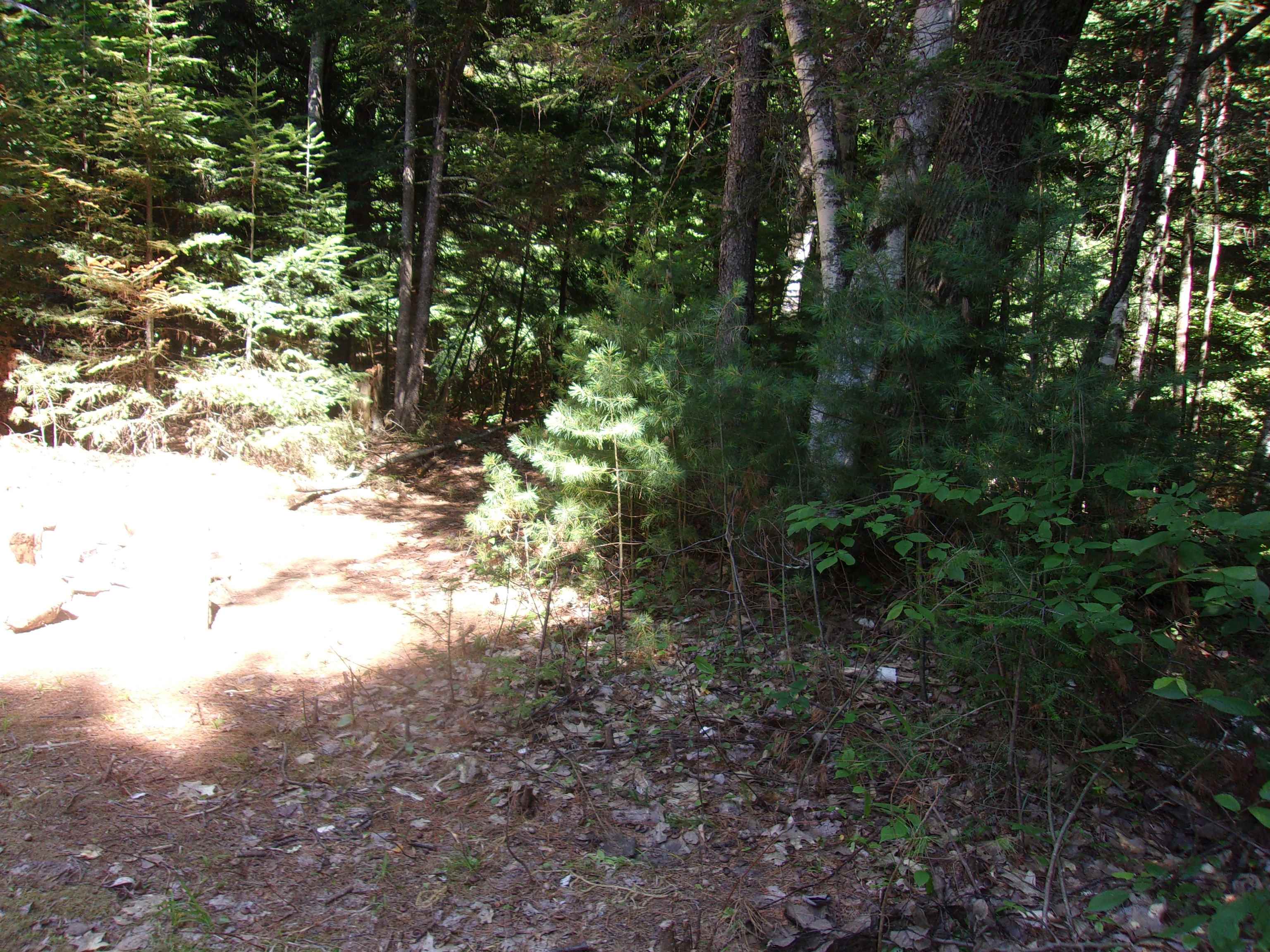 Swiftwater Cir, Haverhill, NH 03785