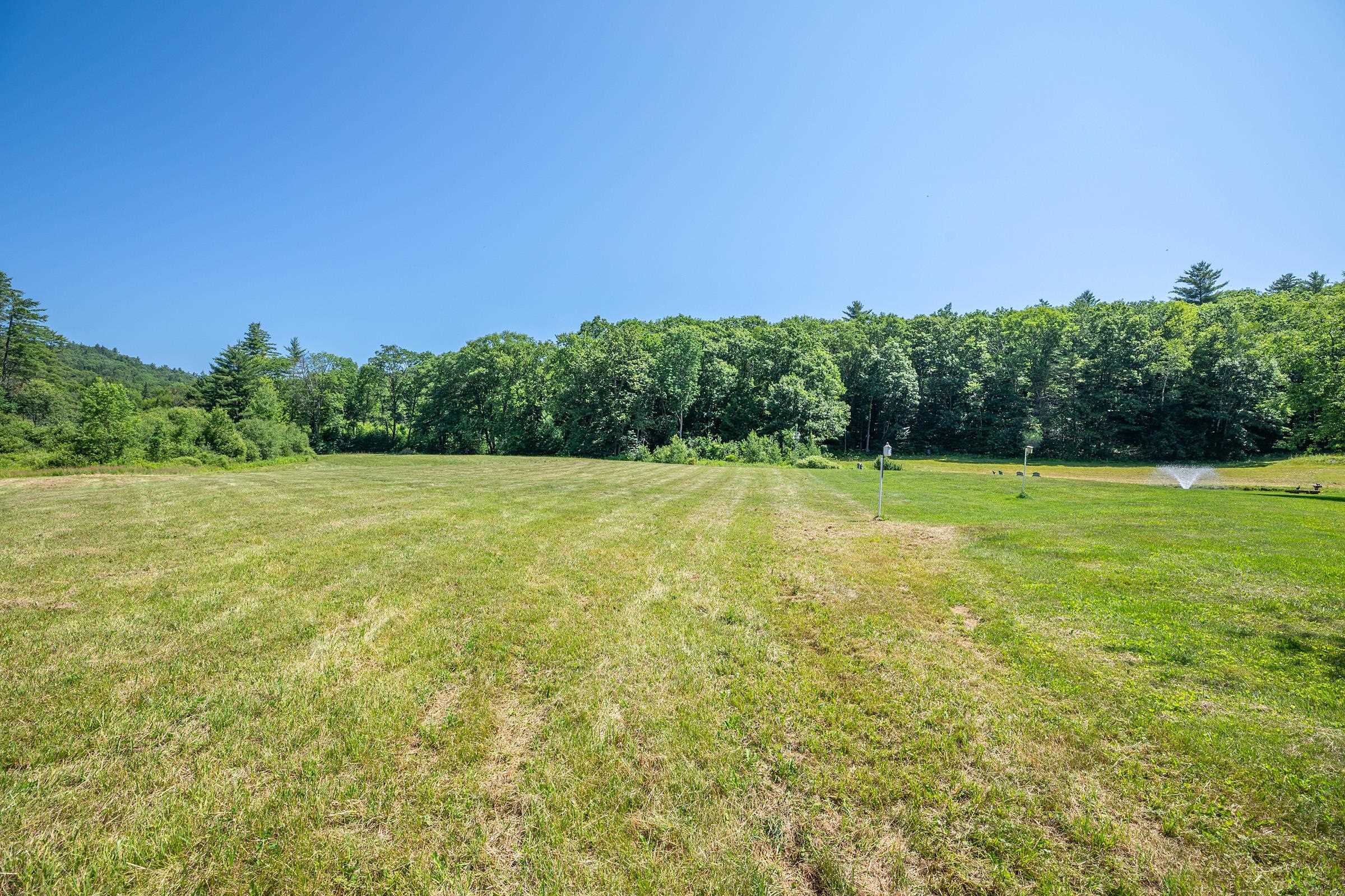 Meadow 25755117