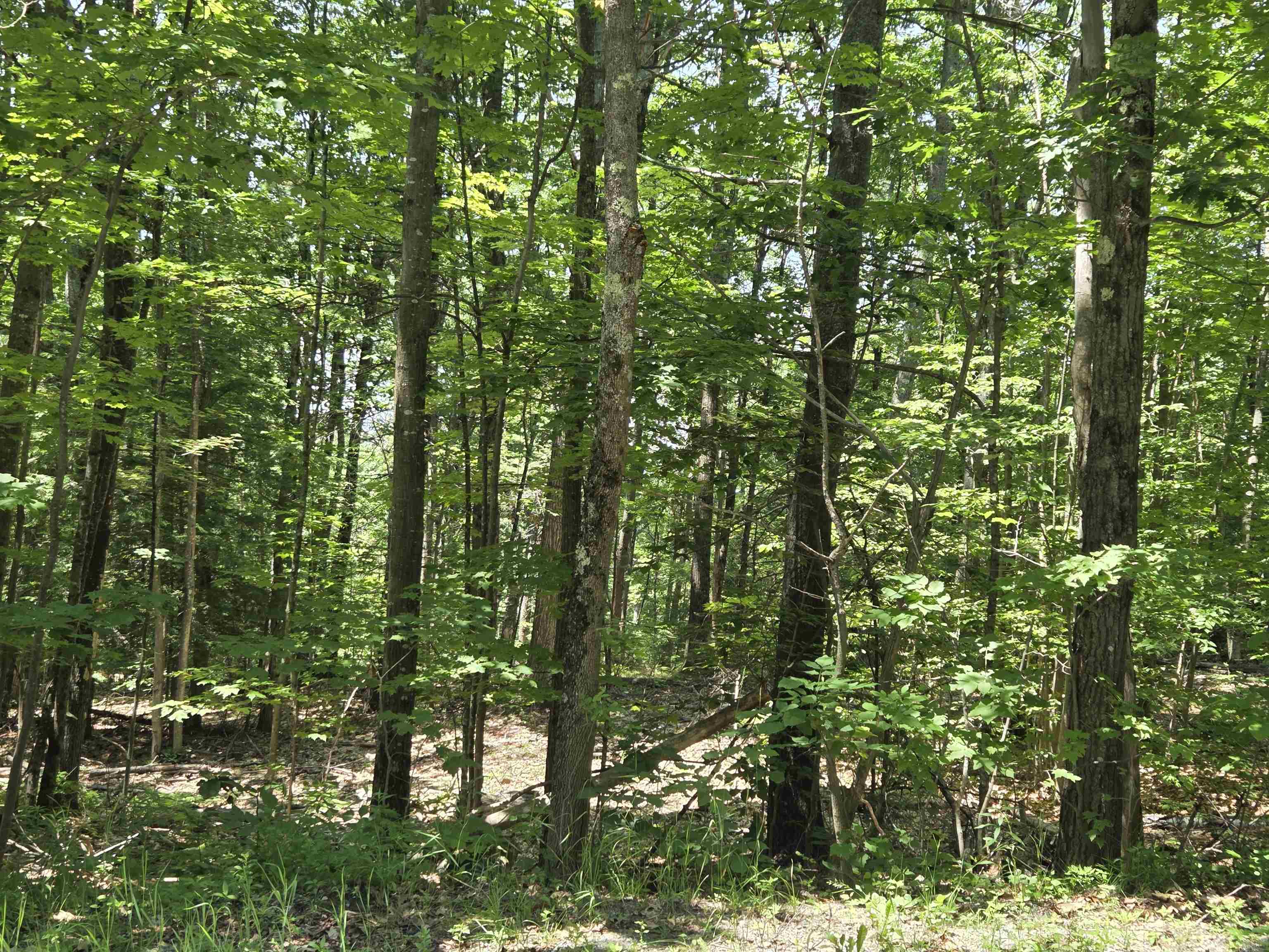  25740195