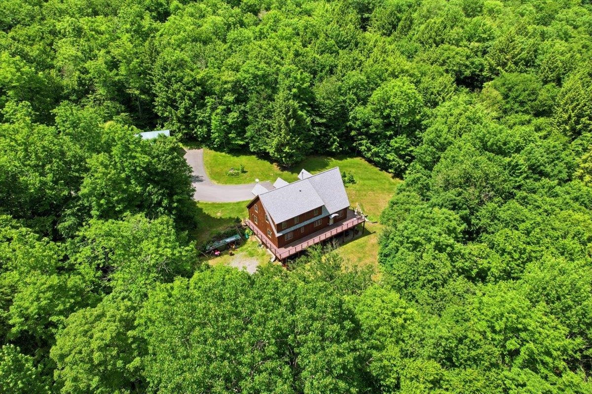 Wildlife abundant area