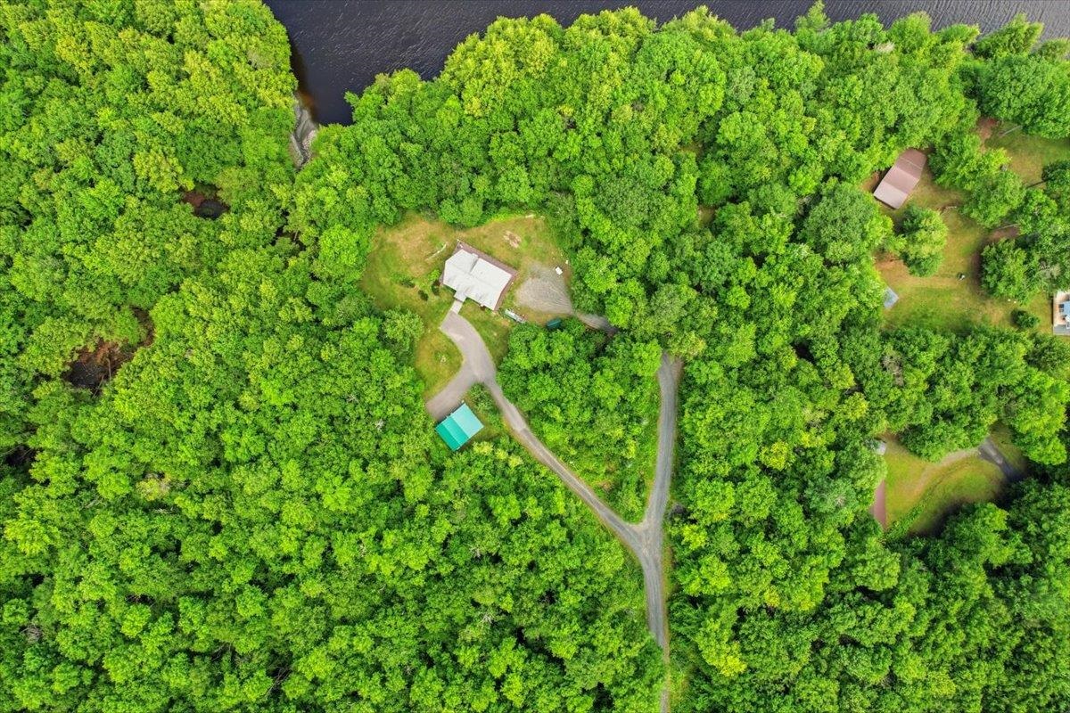 A perfect spot for a garden