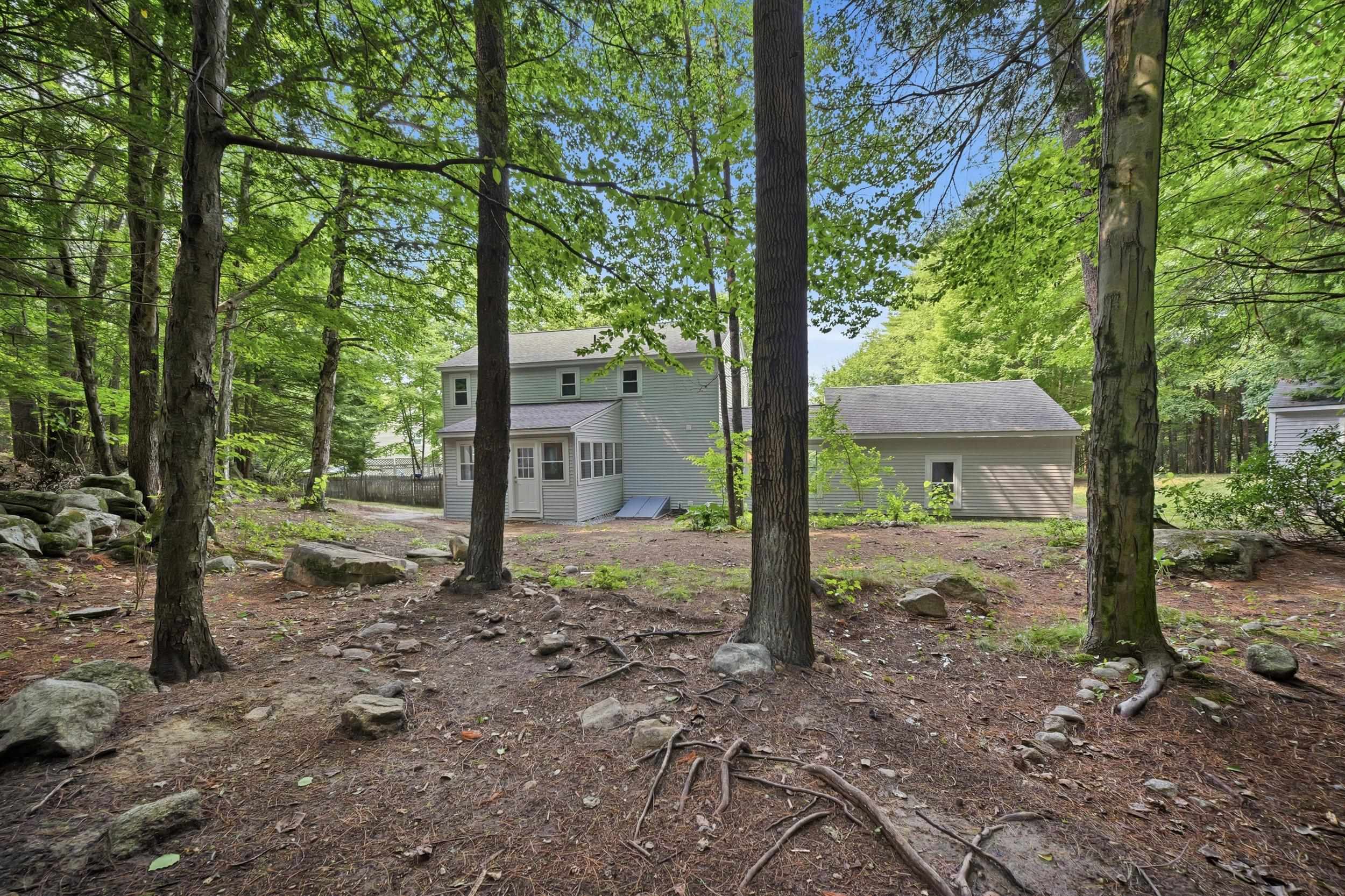A Backyard that beckons the explorer!