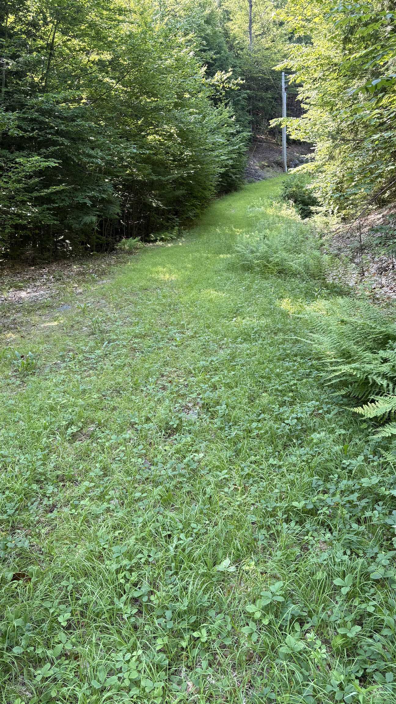 Driveway access in!