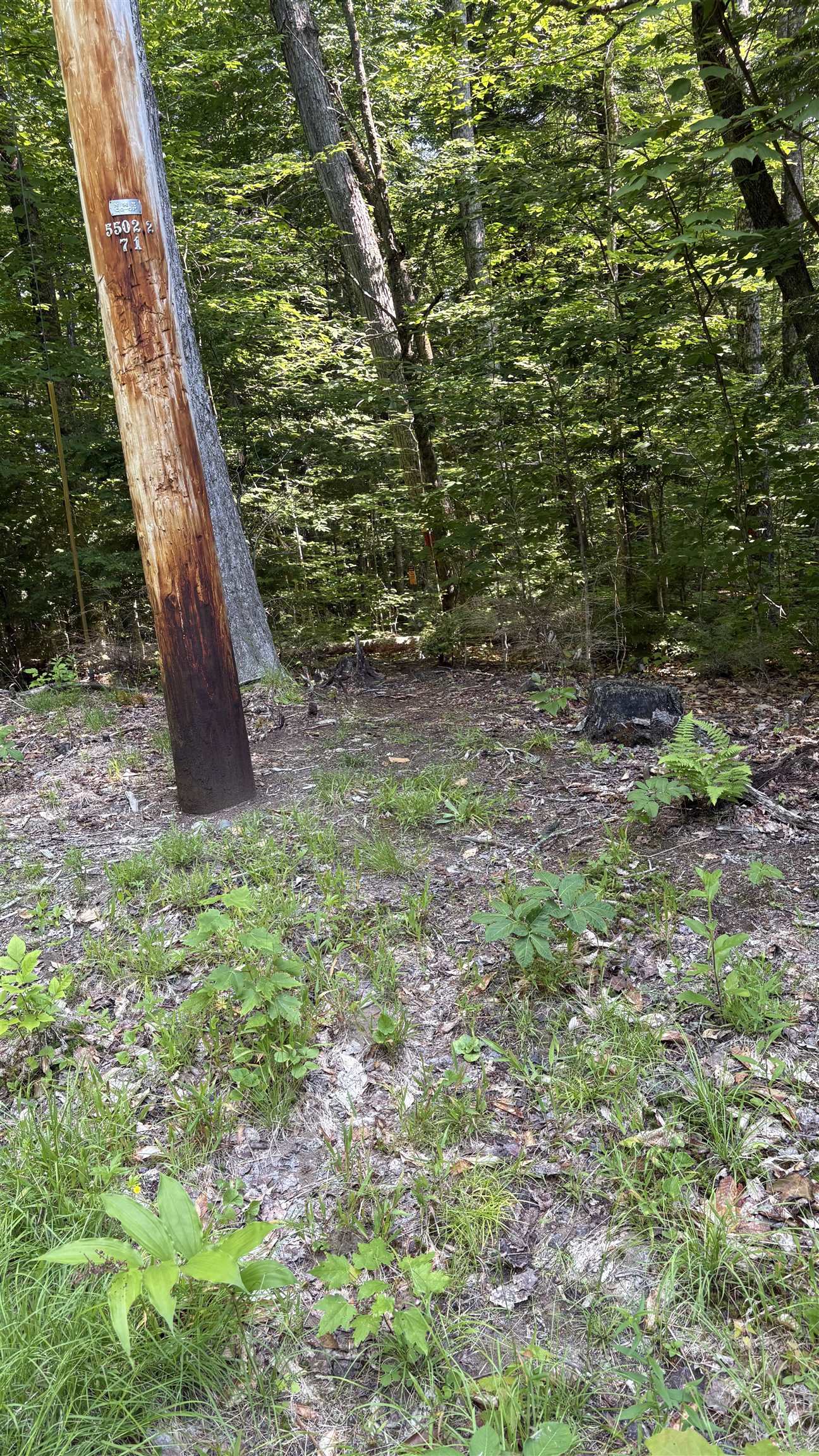 Power Pole