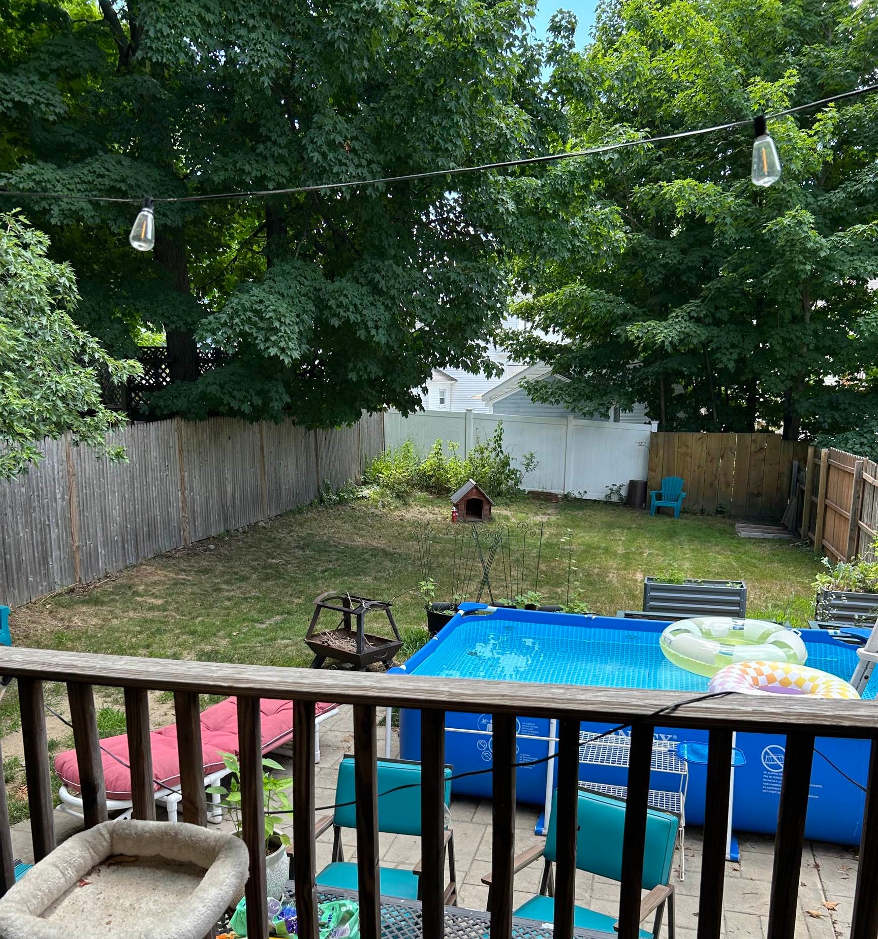 Tenants Patio & Back yard