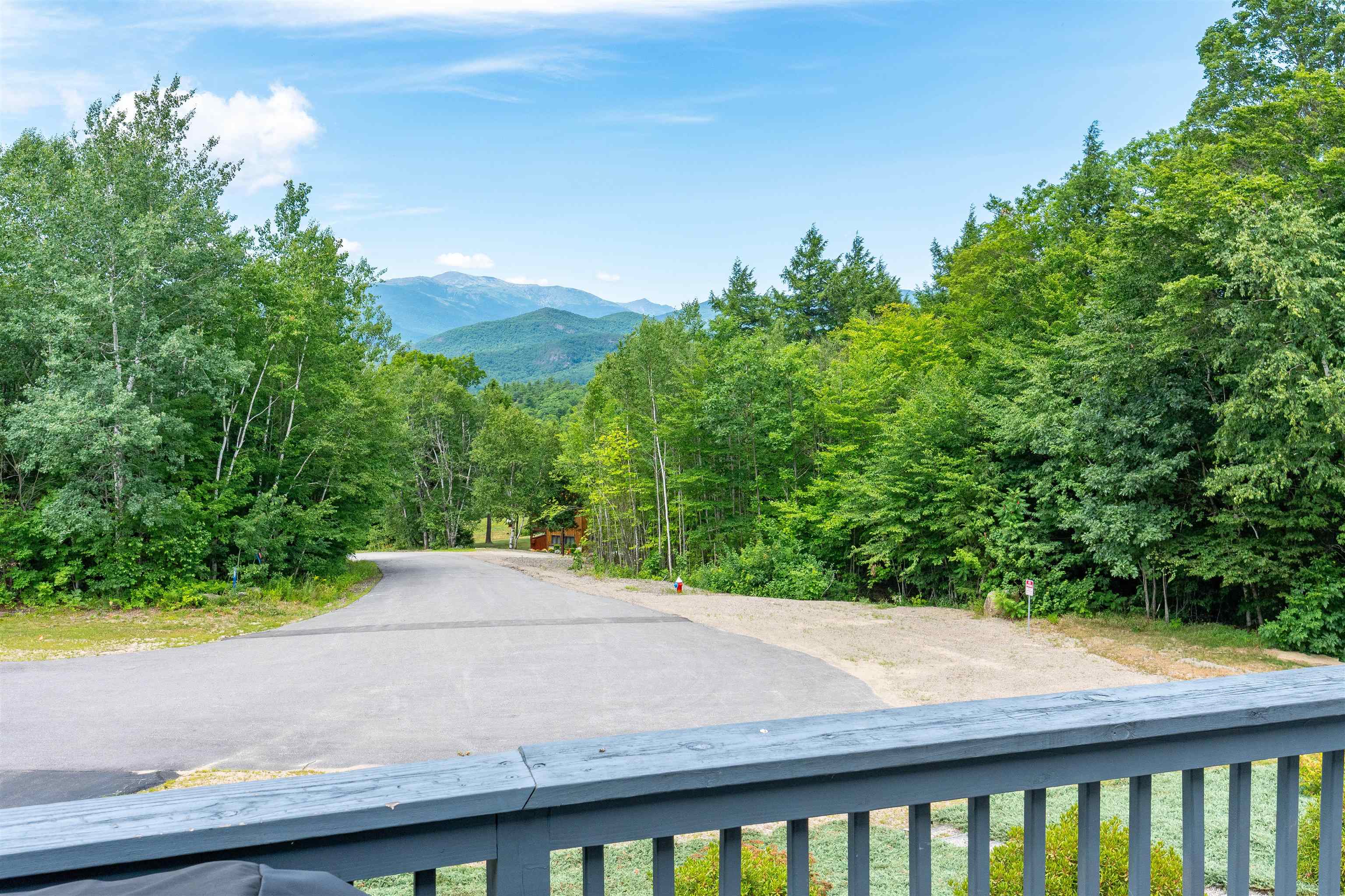 Mt. Washington View