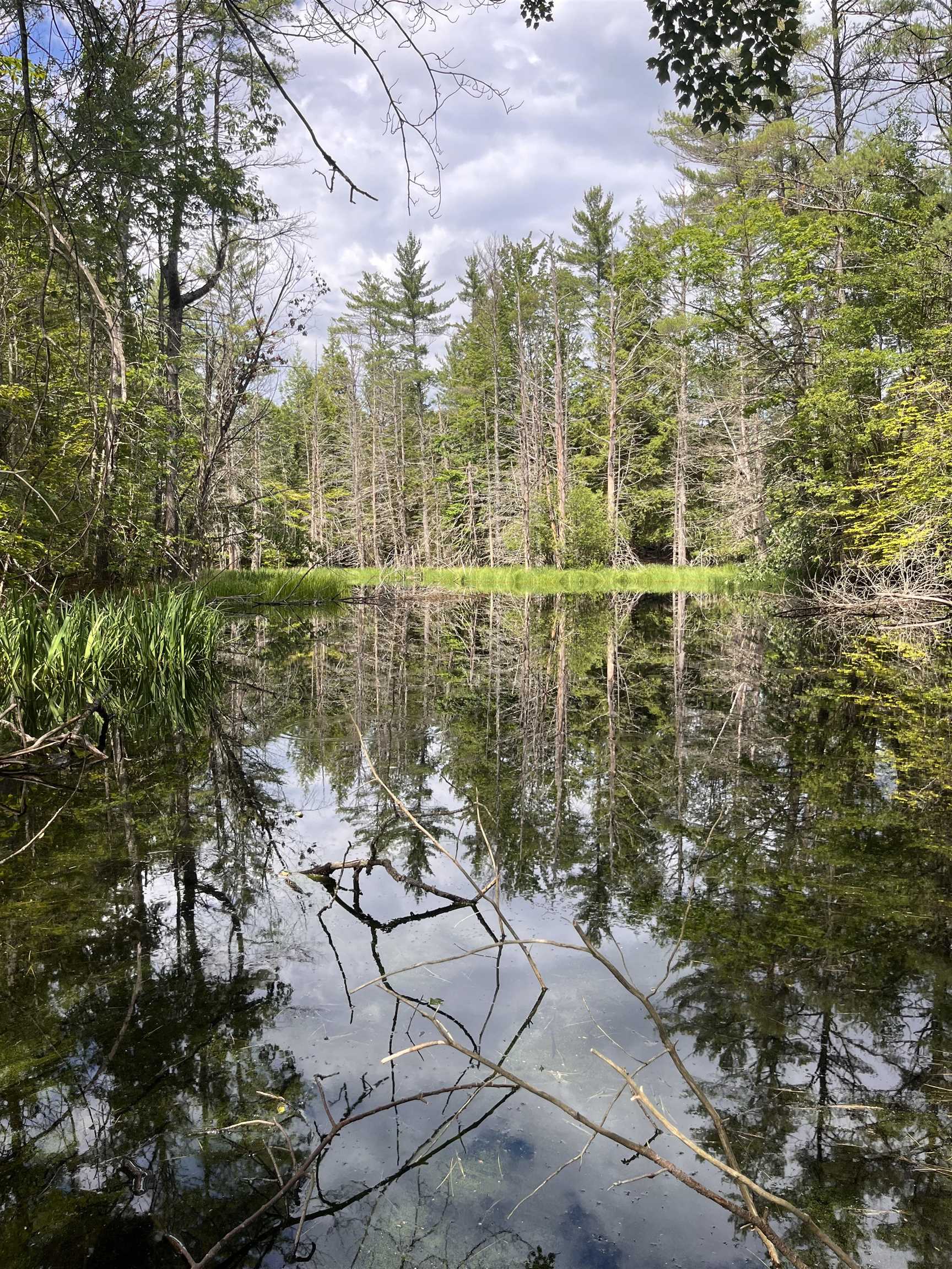 Columbus Jordan Rd, Plainfield, NH 03781
