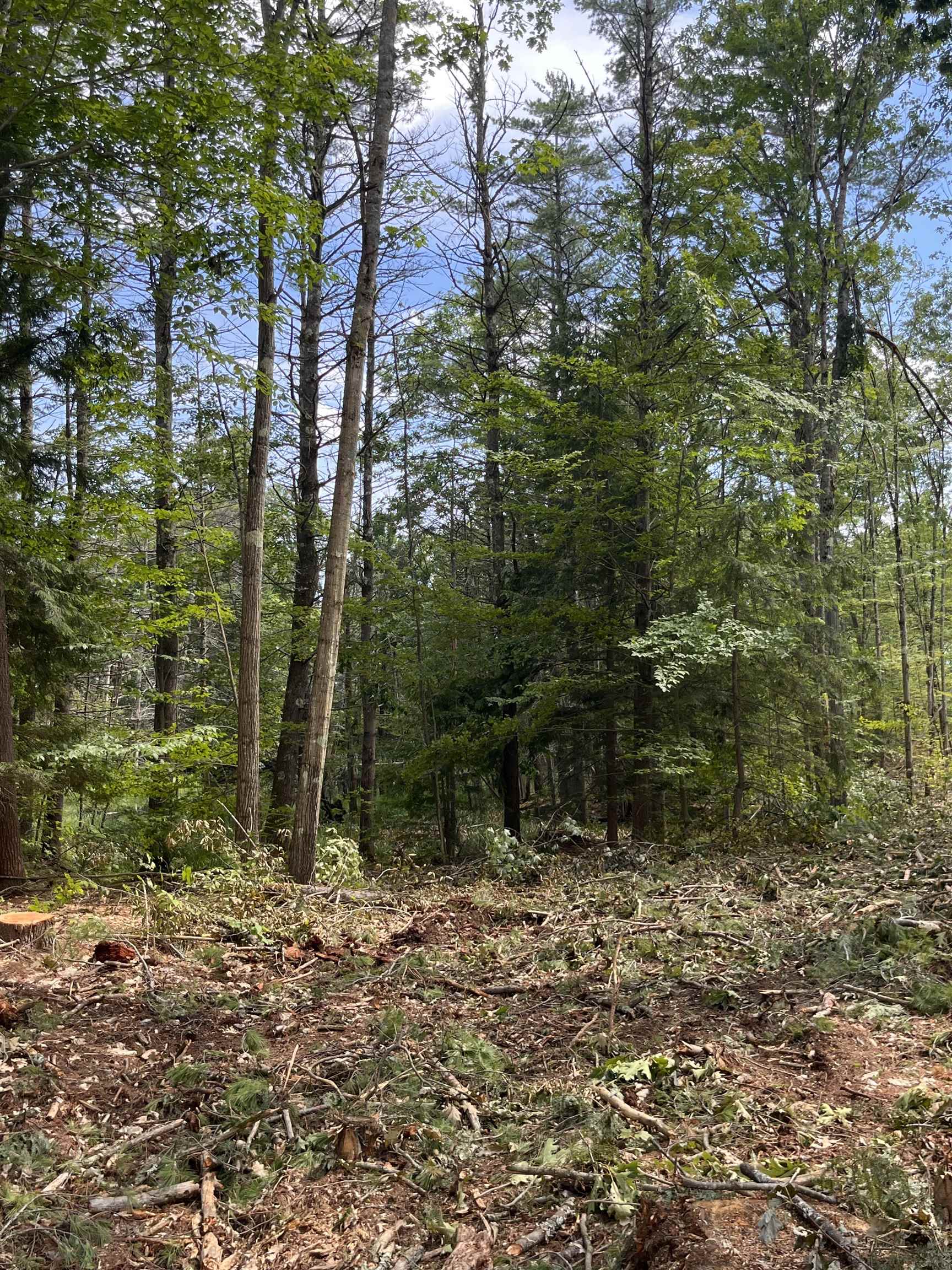 Map 242 Lot 6 Columbus Jordan Rd, Plainfield, NH 03781