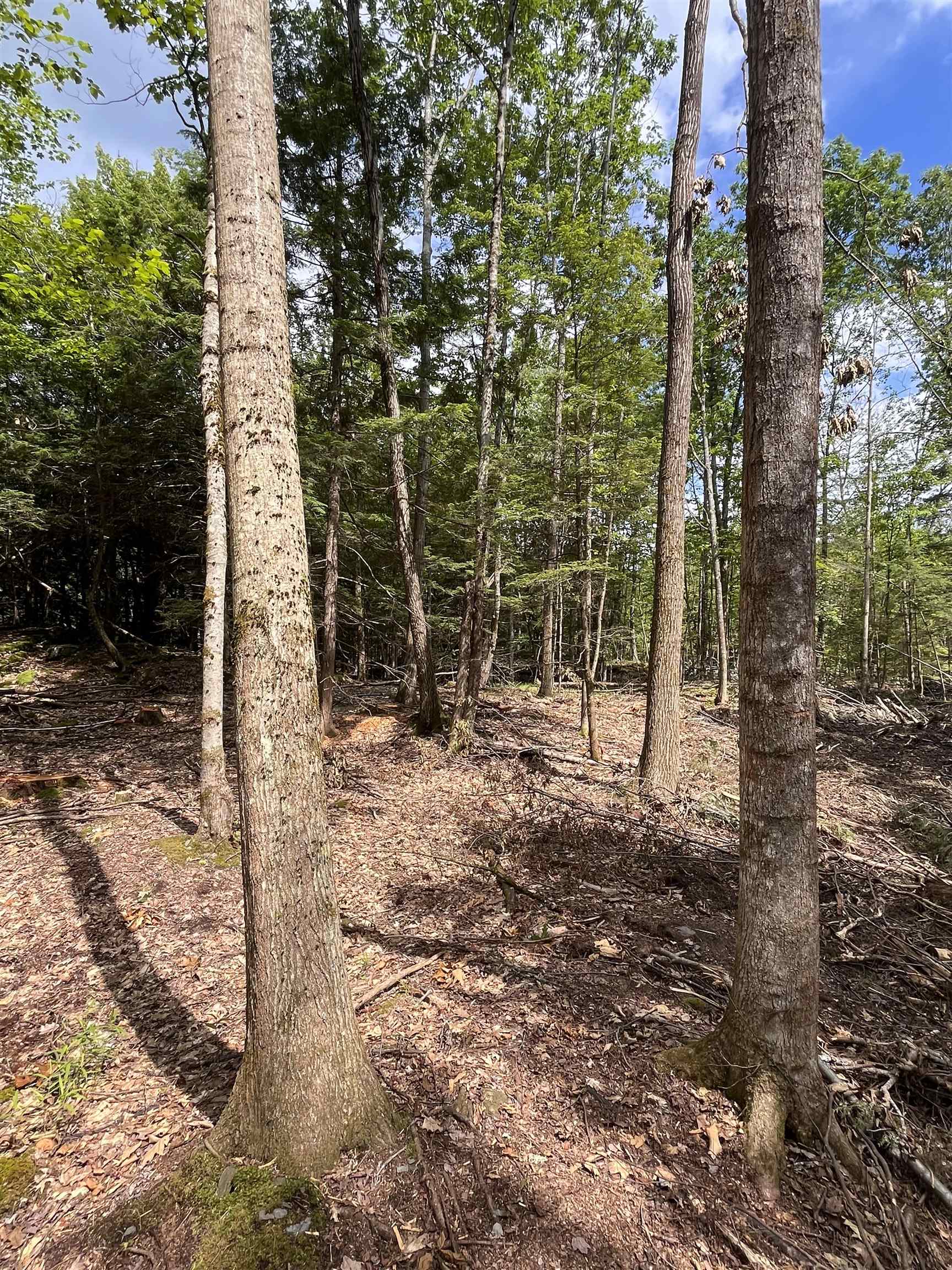 Map 242 Lot 6 Columbus Jordan Rd, Plainfield, NH 03781